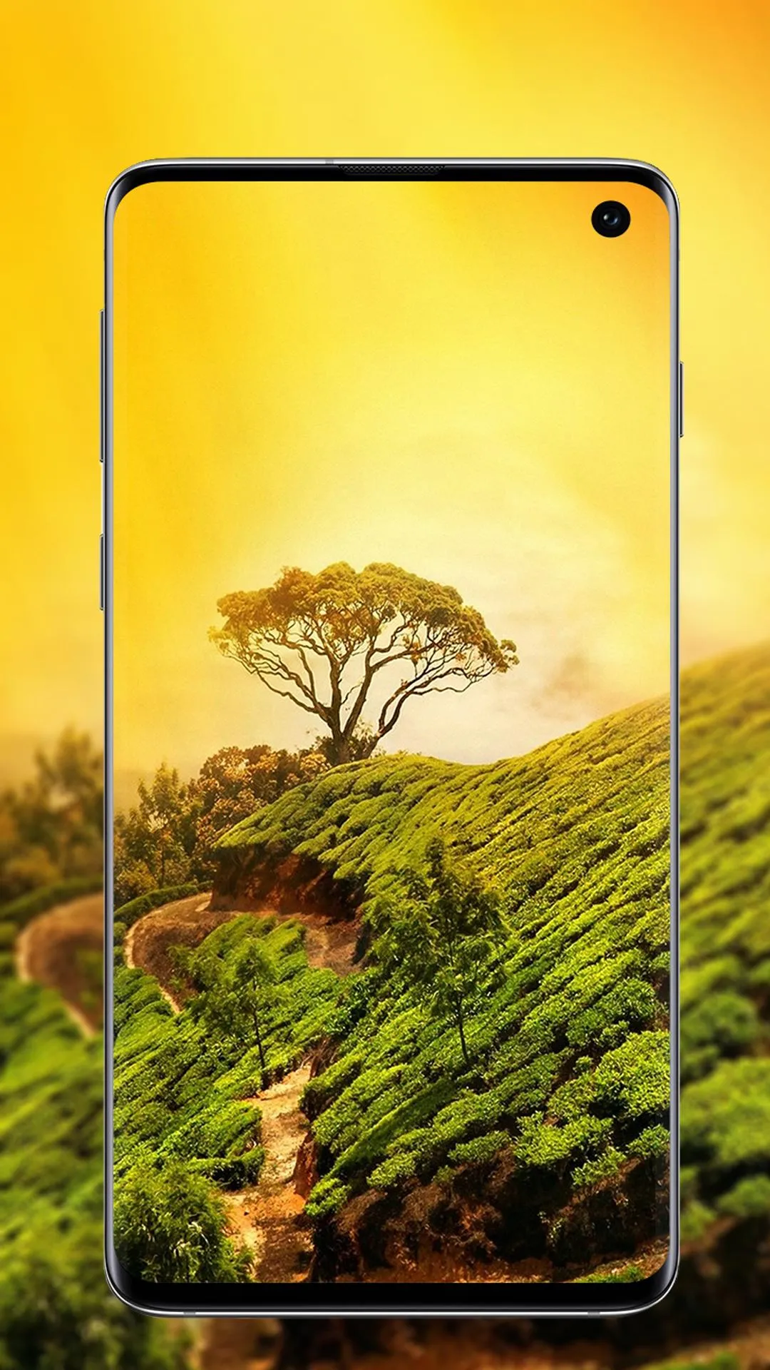 nature wallpaper | Indus Appstore | Screenshot