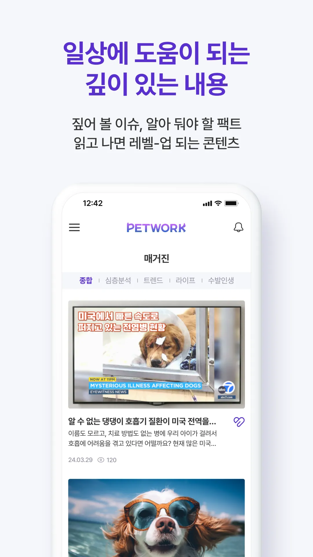 PETWORK - 반려견 가족 정보 네트워크, 펫트워크 | Indus Appstore | Screenshot