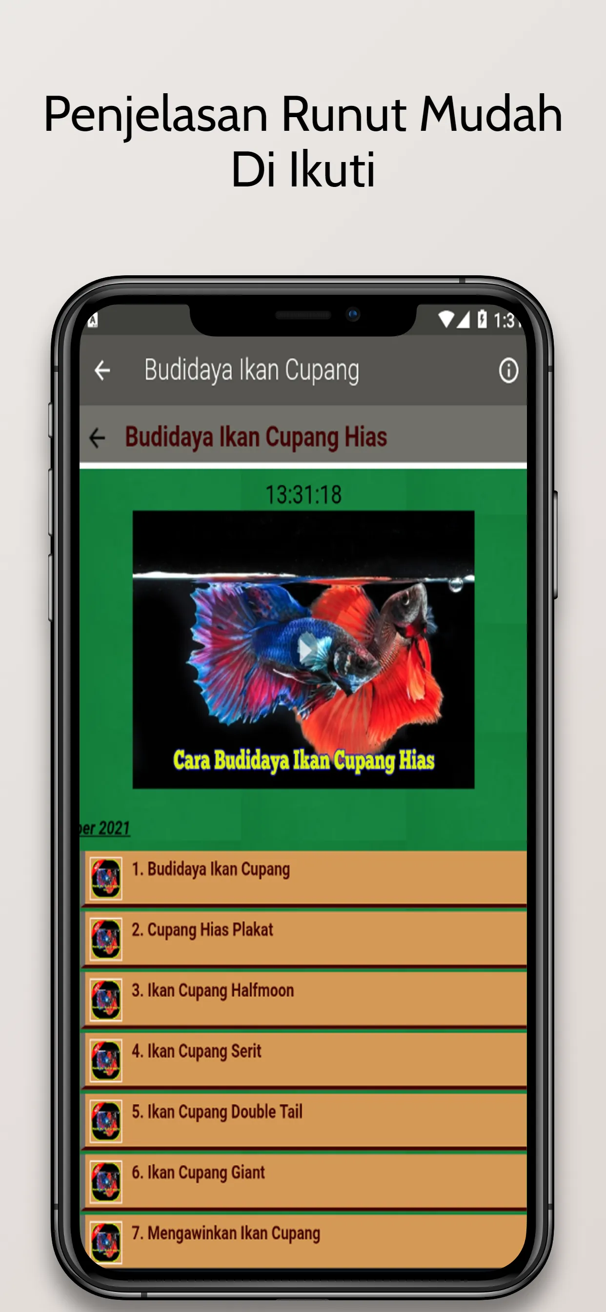 Budidaya Ikan Cupang Hias | Indus Appstore | Screenshot