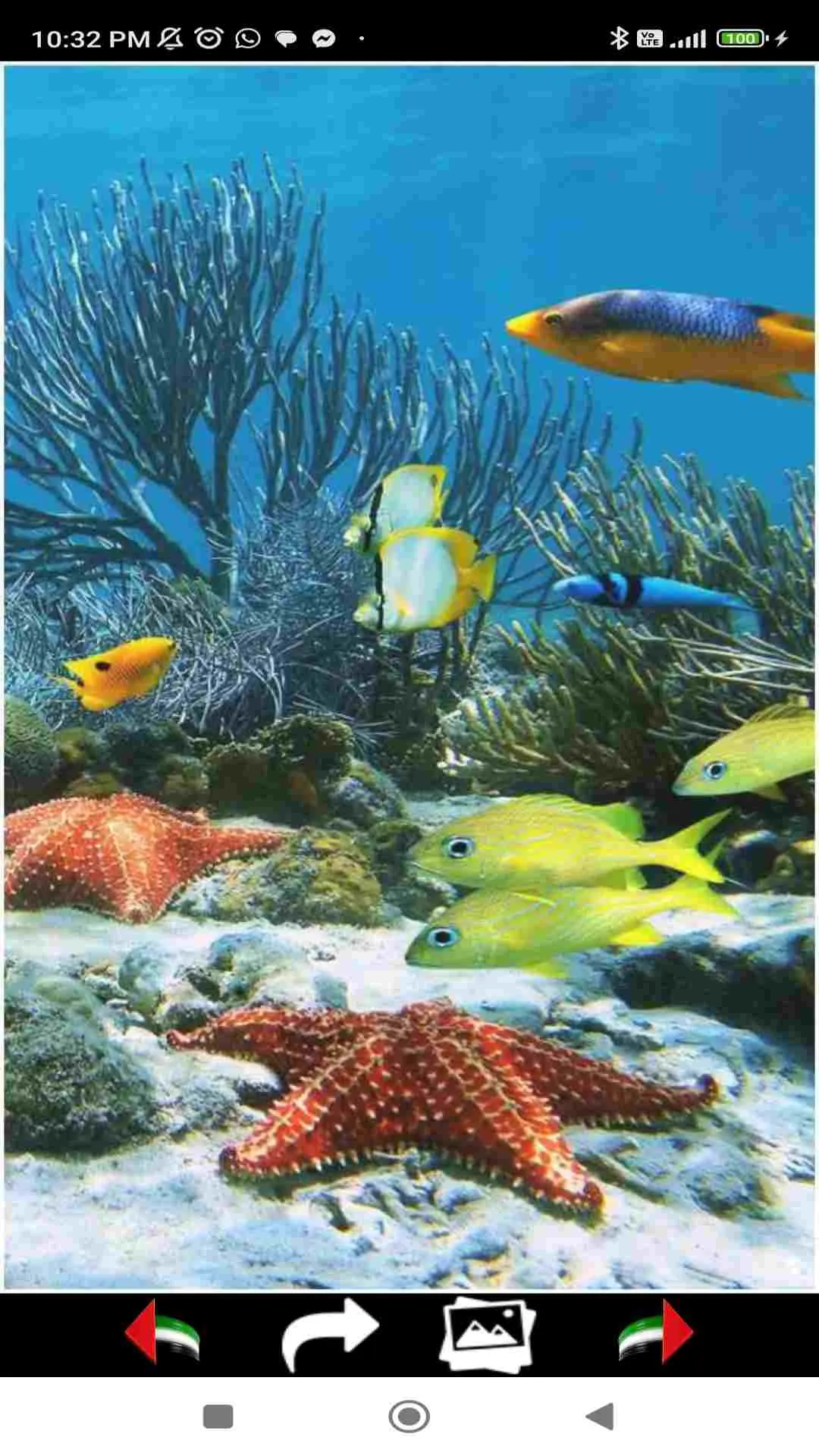 Sea Life Wallpapers | Indus Appstore | Screenshot