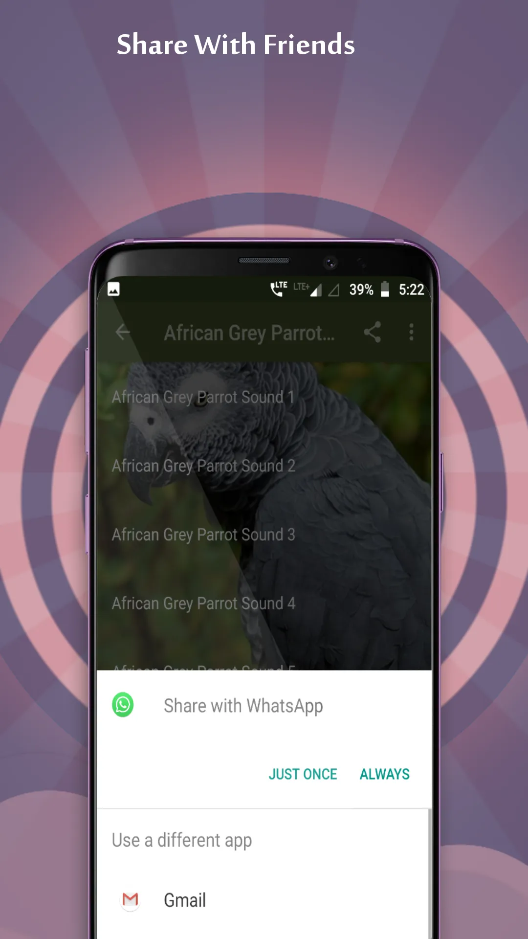 African Grey Parrot Sounds | Indus Appstore | Screenshot