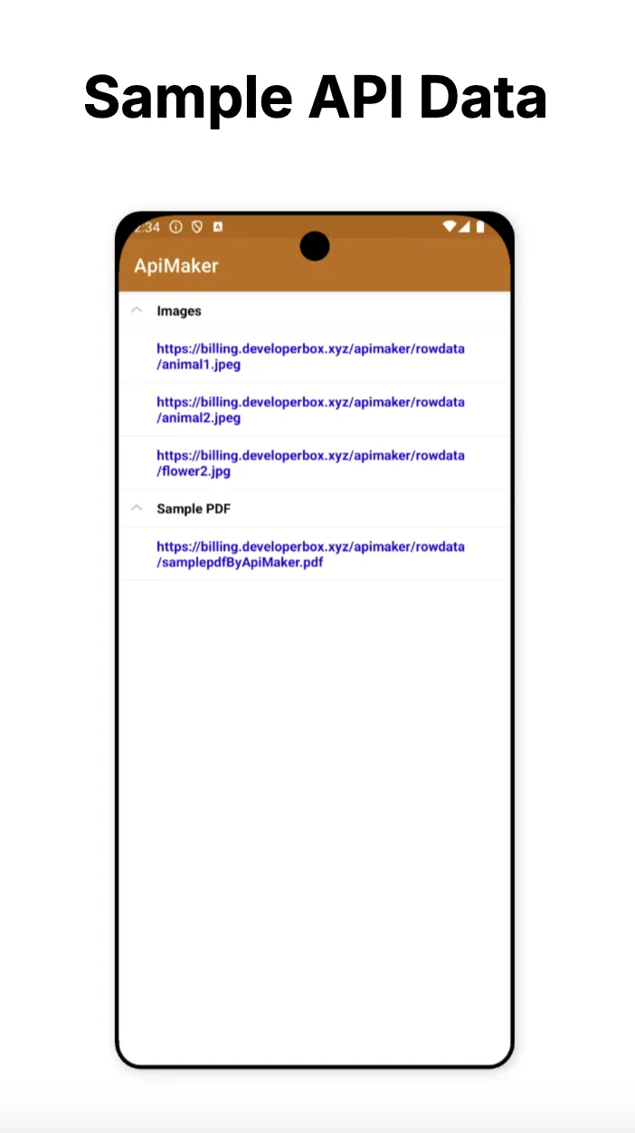 Api Maker | Indus Appstore | Screenshot