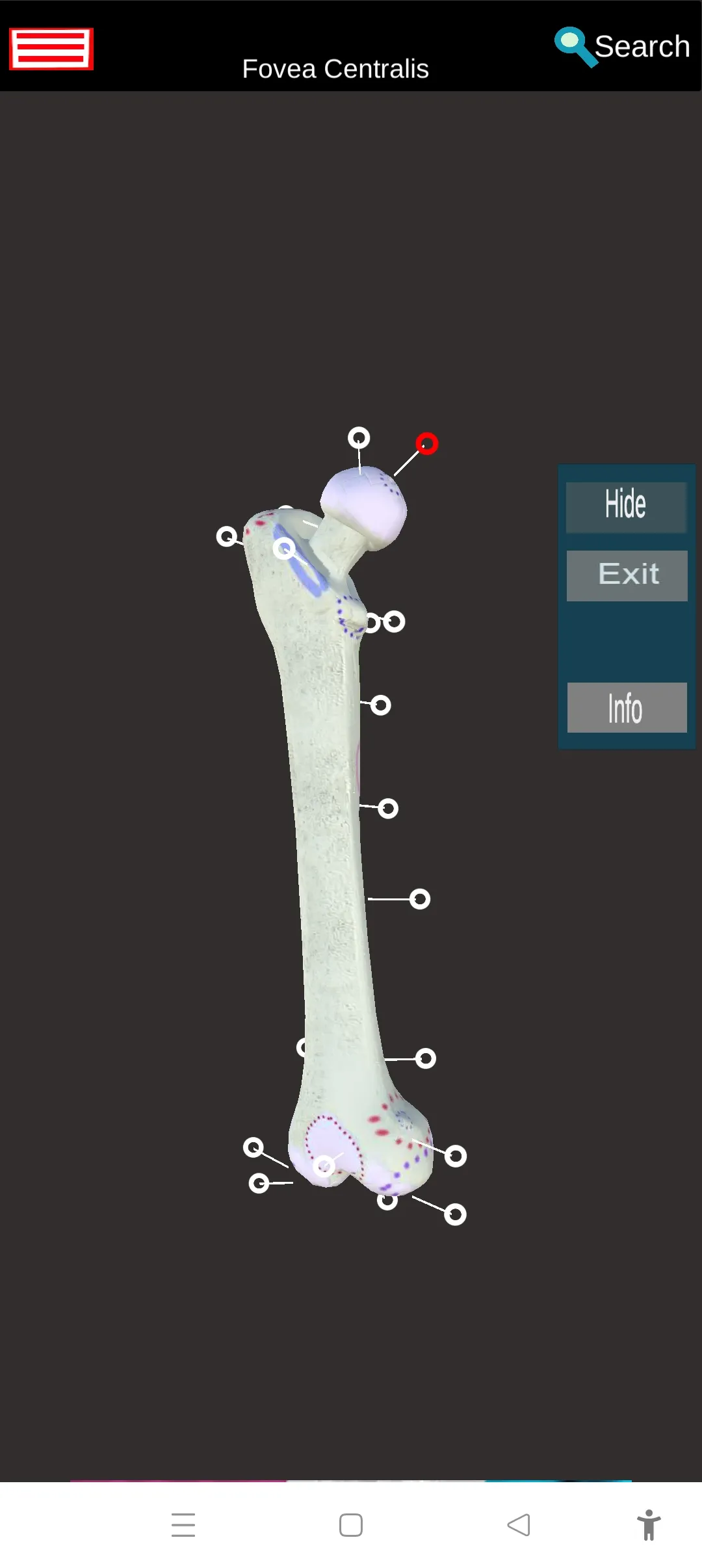 Human Anatomy -3D Atlas | Indus Appstore | Screenshot