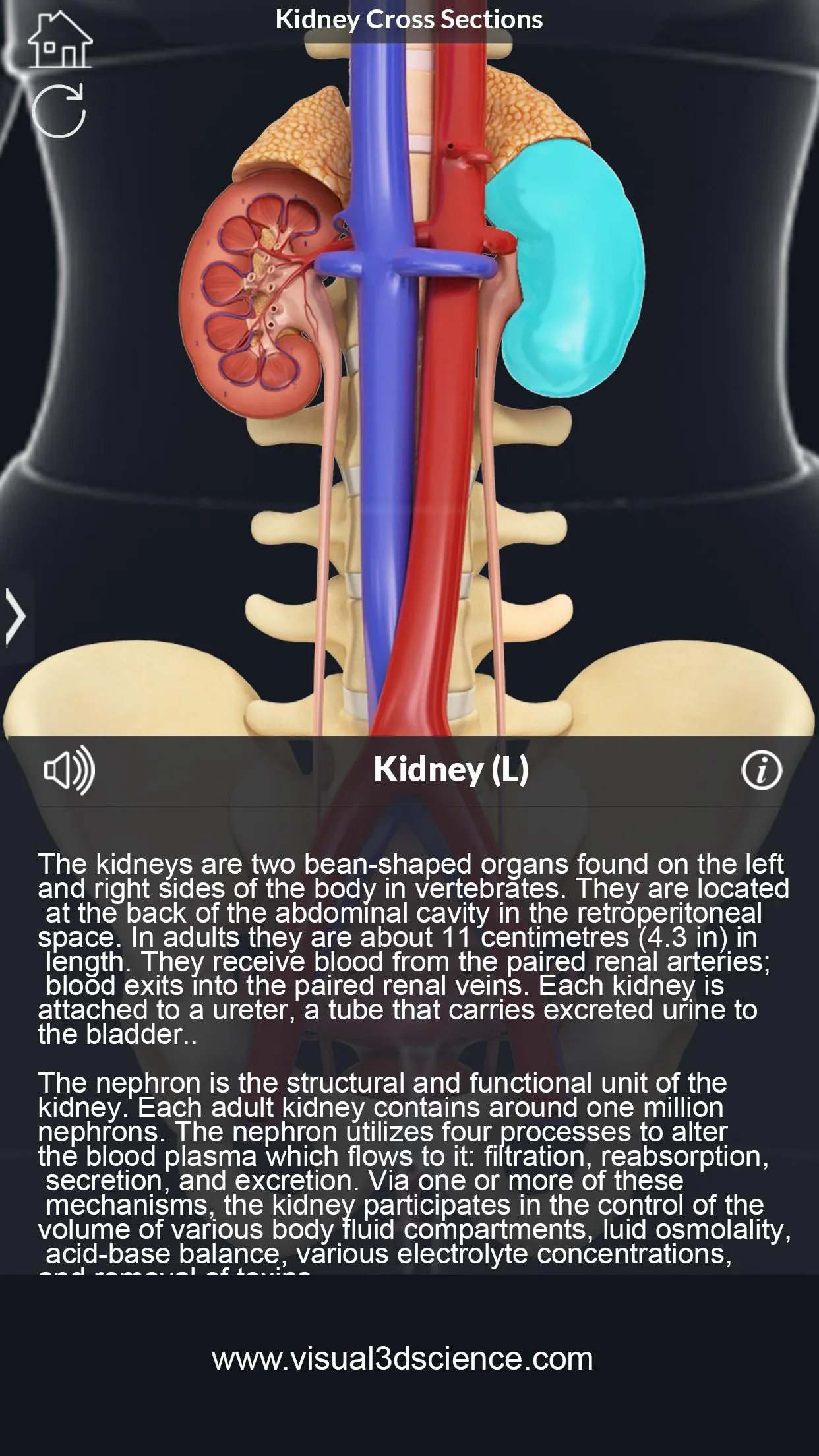 My Urinary System | Indus Appstore | Screenshot