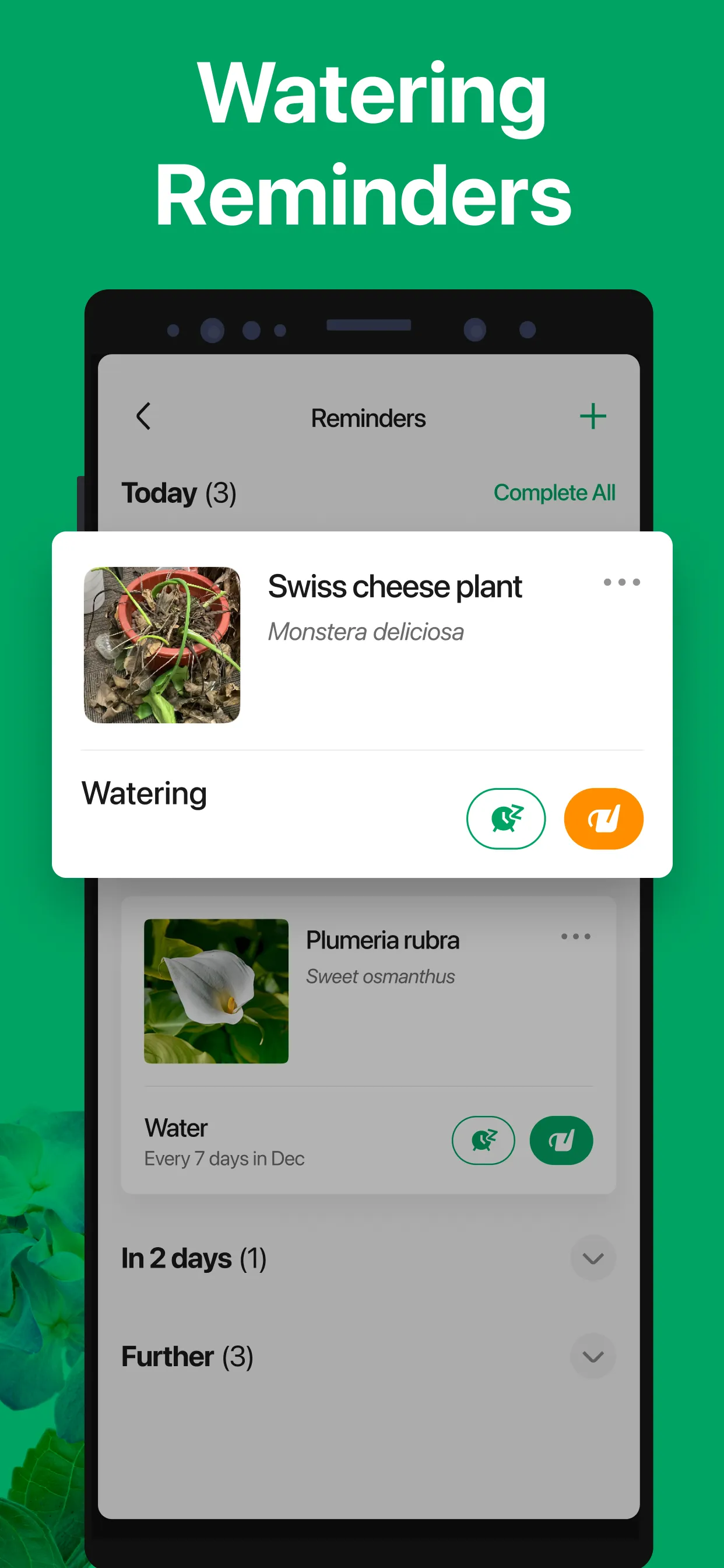 PictureThis - Plant Identifier | Indus Appstore | Screenshot