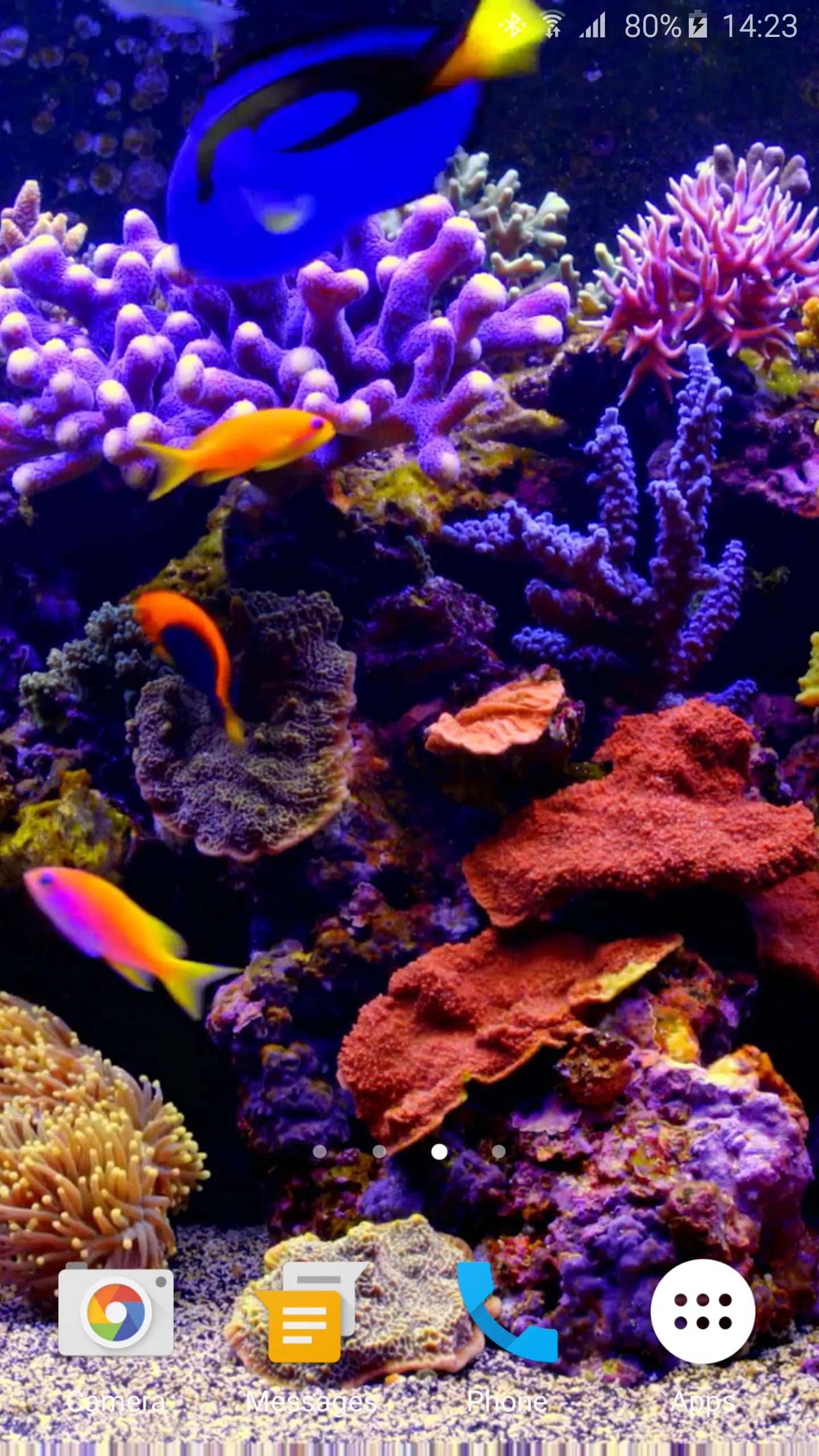 Aquarium Video Live Wallpaper | Indus Appstore | Screenshot