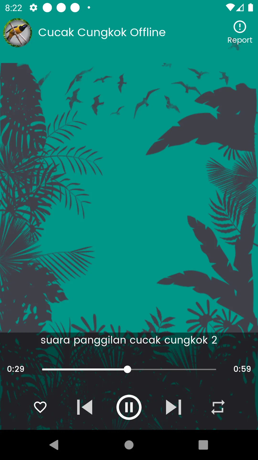 Suara Burung Cucak Cungkok | Indus Appstore | Screenshot