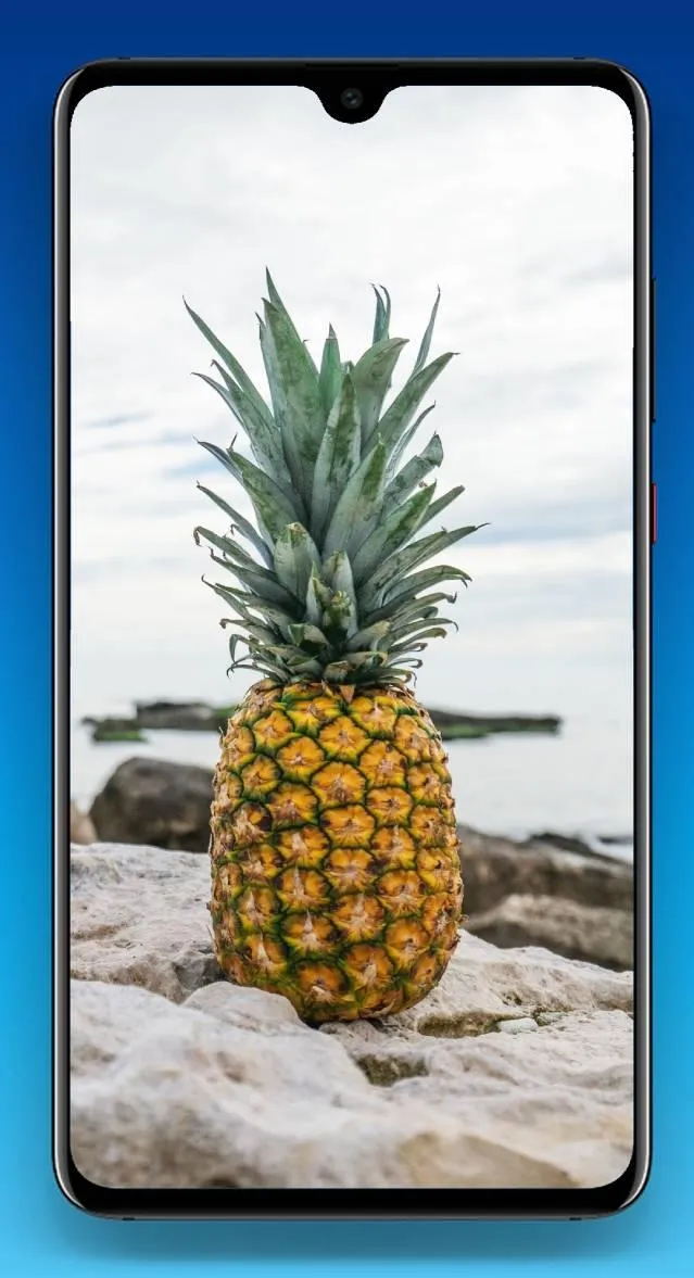 Pineapple Wallpaper 4K | Indus Appstore | Screenshot