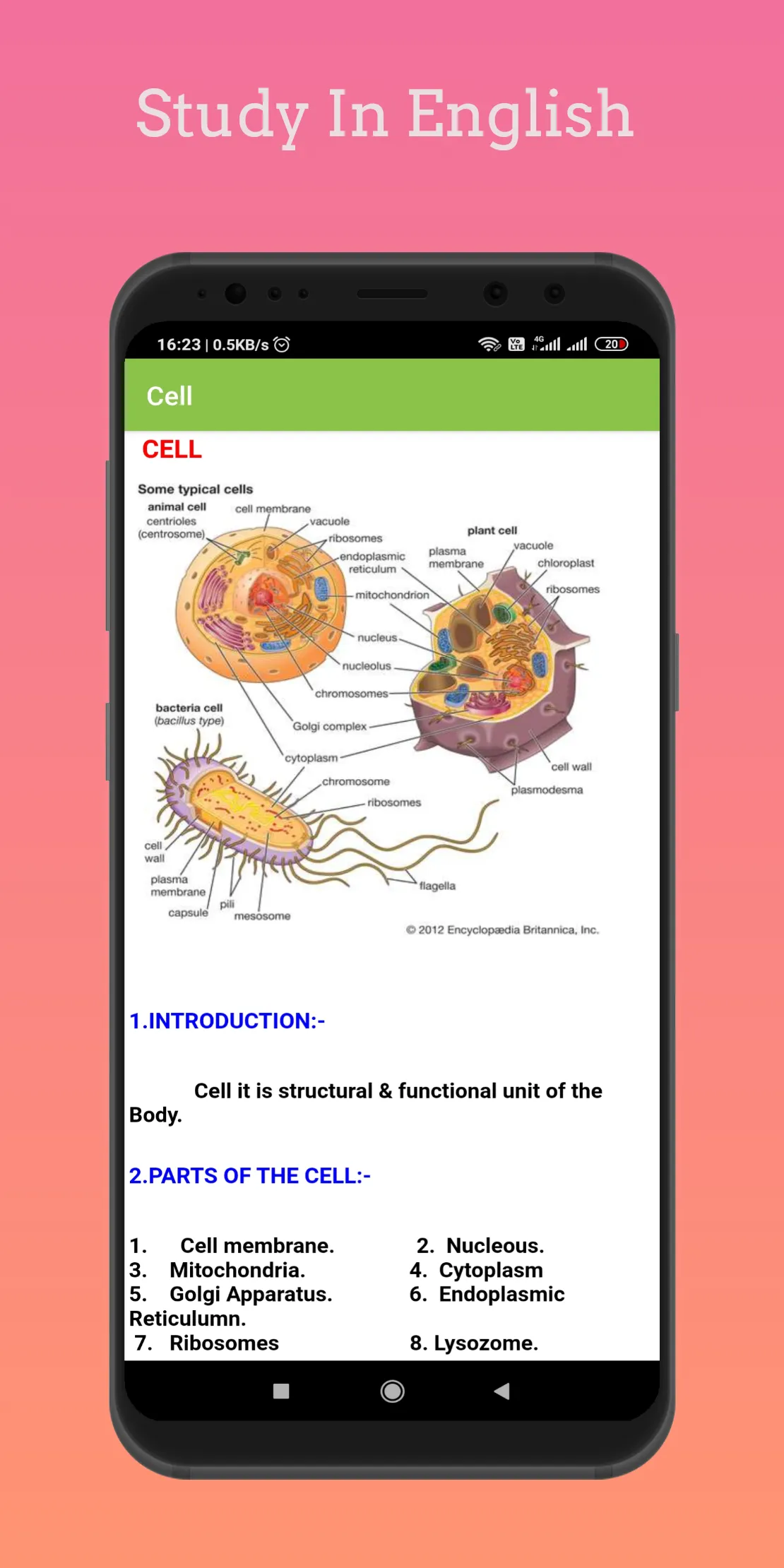 Anatomy & Physiology In Hindi  | Indus Appstore | Screenshot