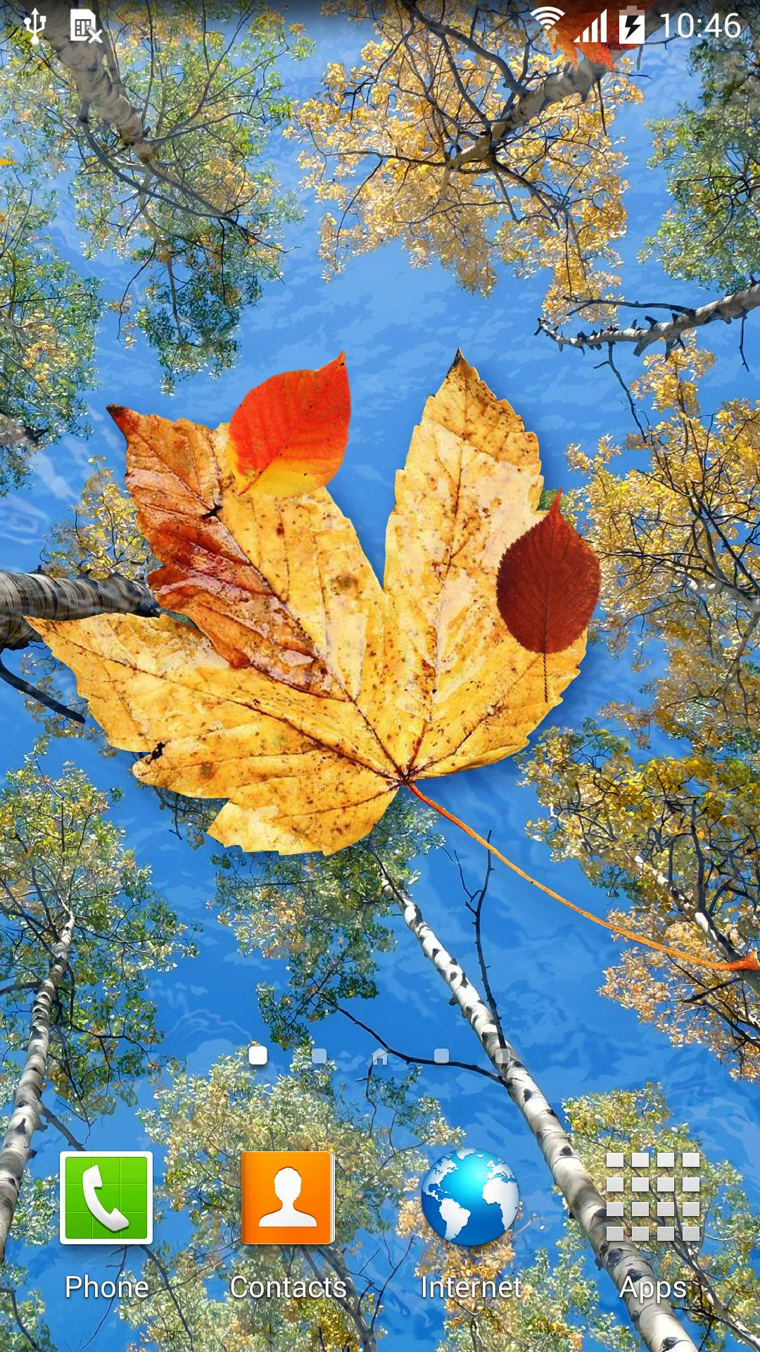 Autumn Leaves Live Wallpaper | Indus Appstore | Screenshot