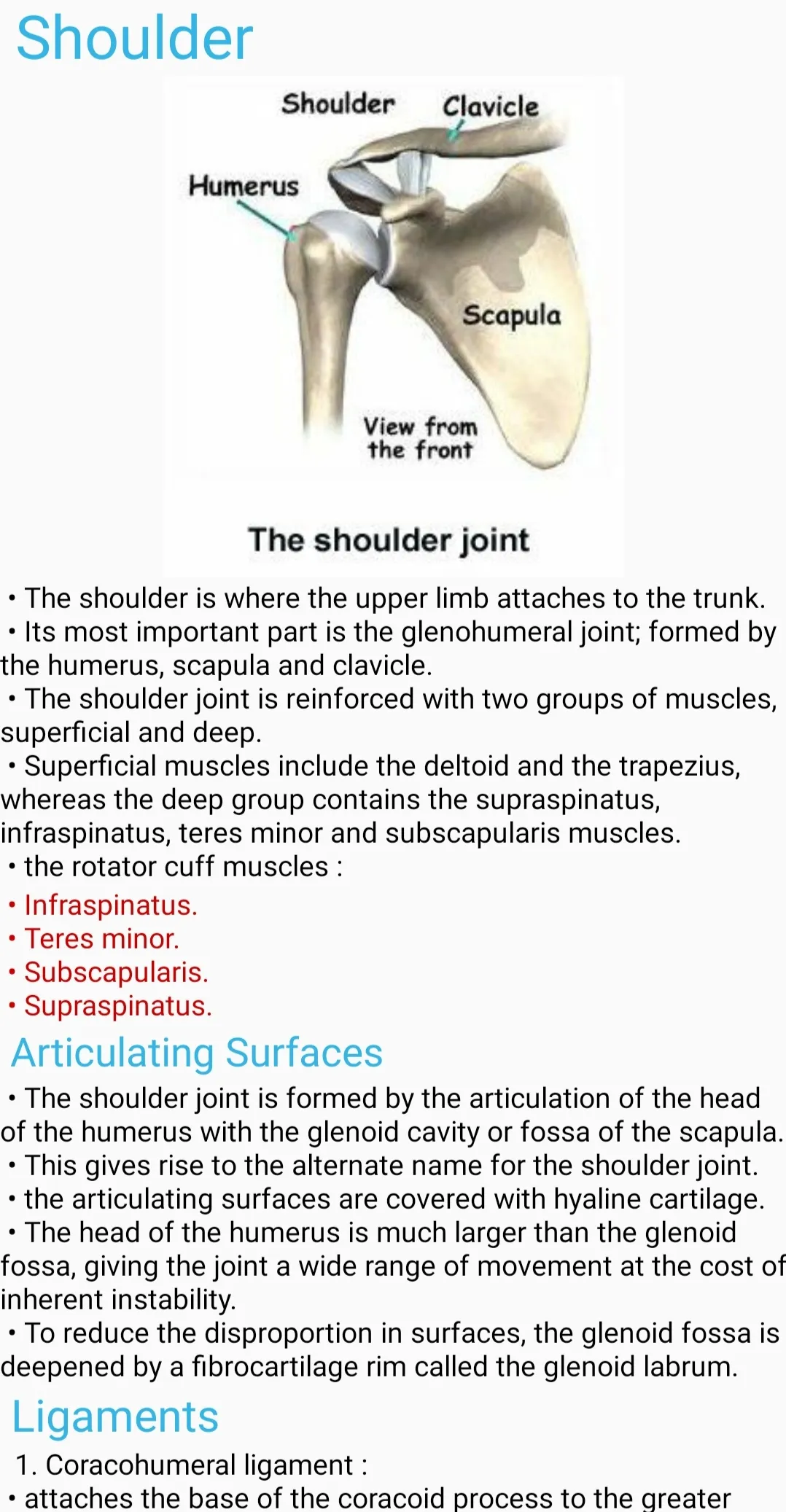 Human Anatomy E Theories | Indus Appstore | Screenshot