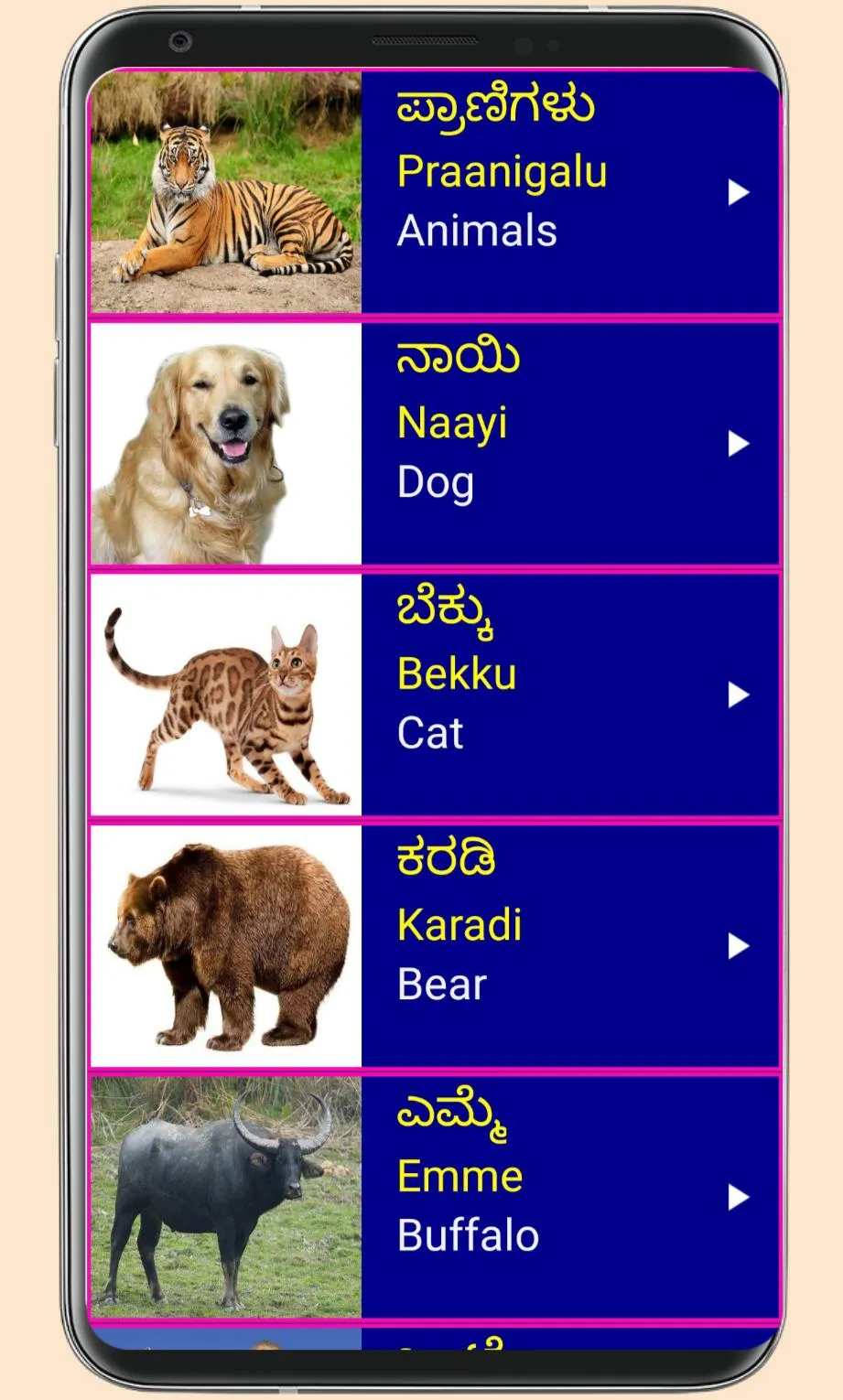 Learn Kannada From English | Indus Appstore | Screenshot