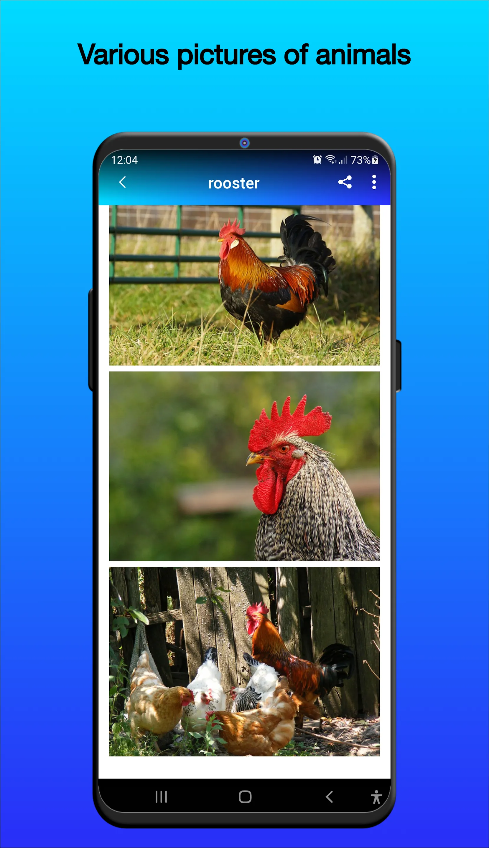 Animal Sounds | Indus Appstore | Screenshot