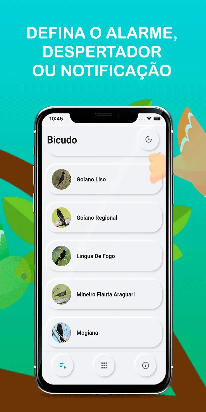 Beaked bird singing | Indus Appstore | Screenshot