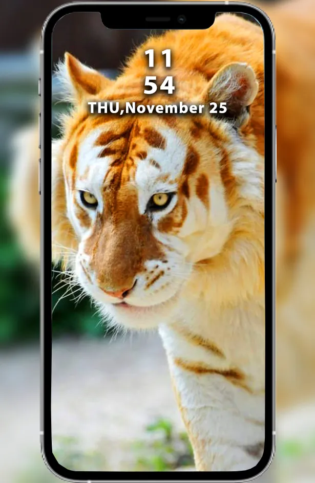 Wild Tiger & Lion Wallpapers | Indus Appstore | Screenshot