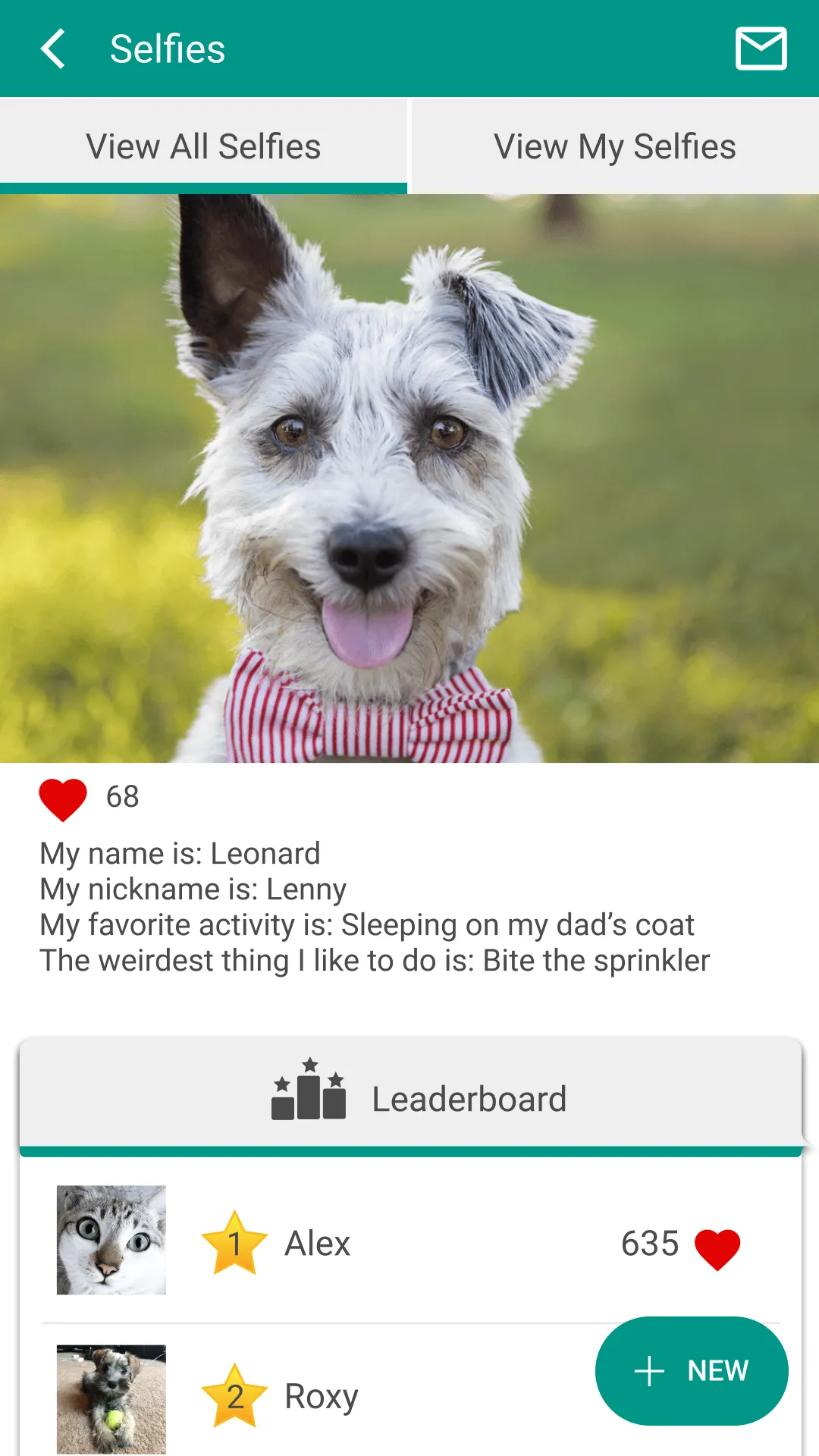 Alpine Animal Hospital | Indus Appstore | Screenshot