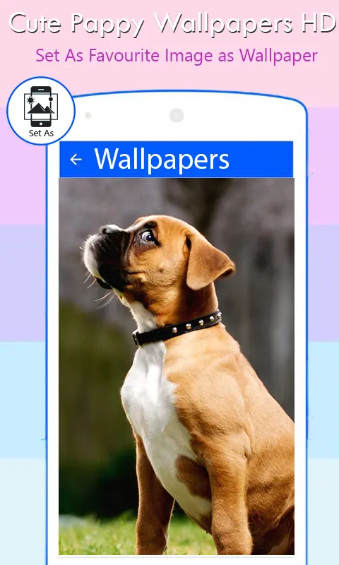 Cute Pappy Wallpapers | Indus Appstore | Screenshot