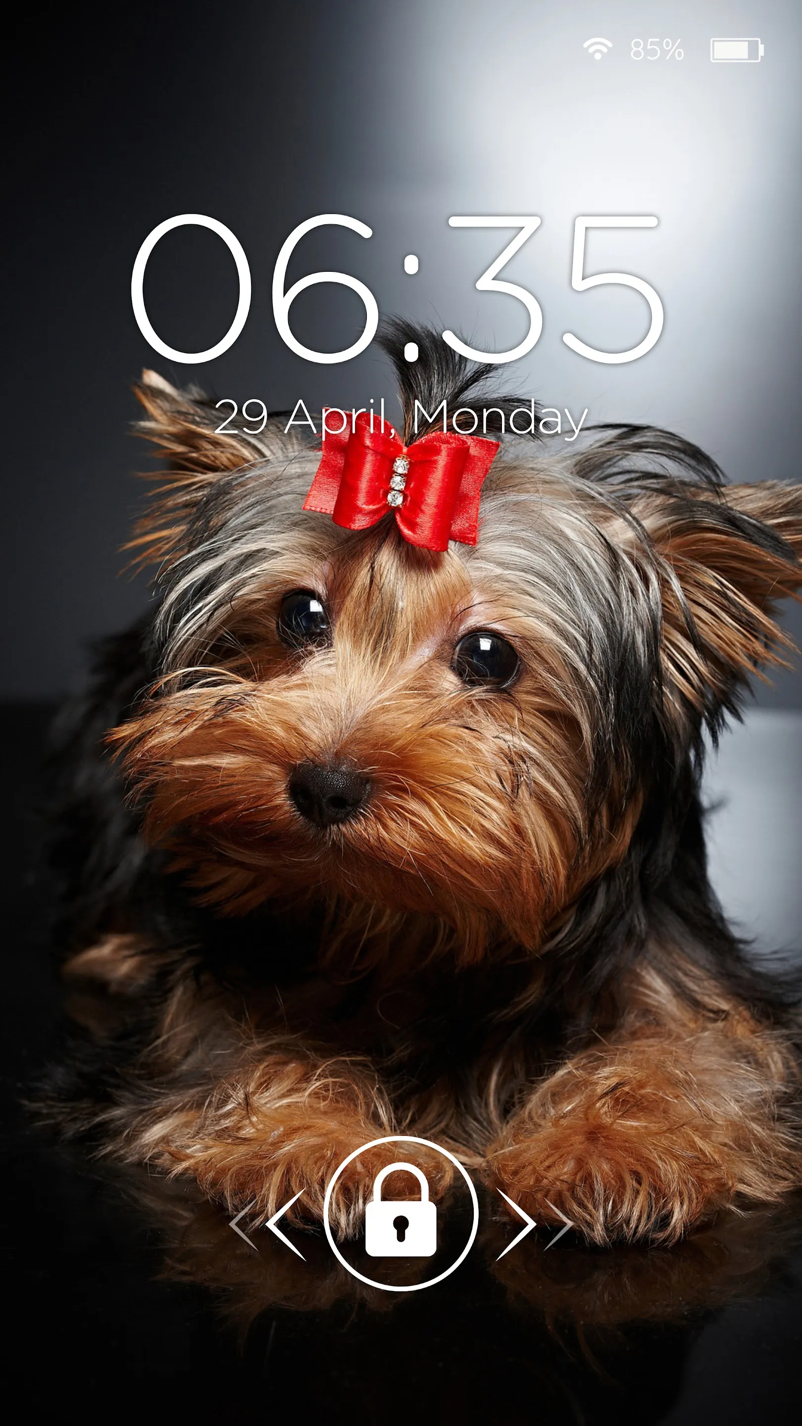 Dogs Cool Wallpapers | Indus Appstore | Screenshot