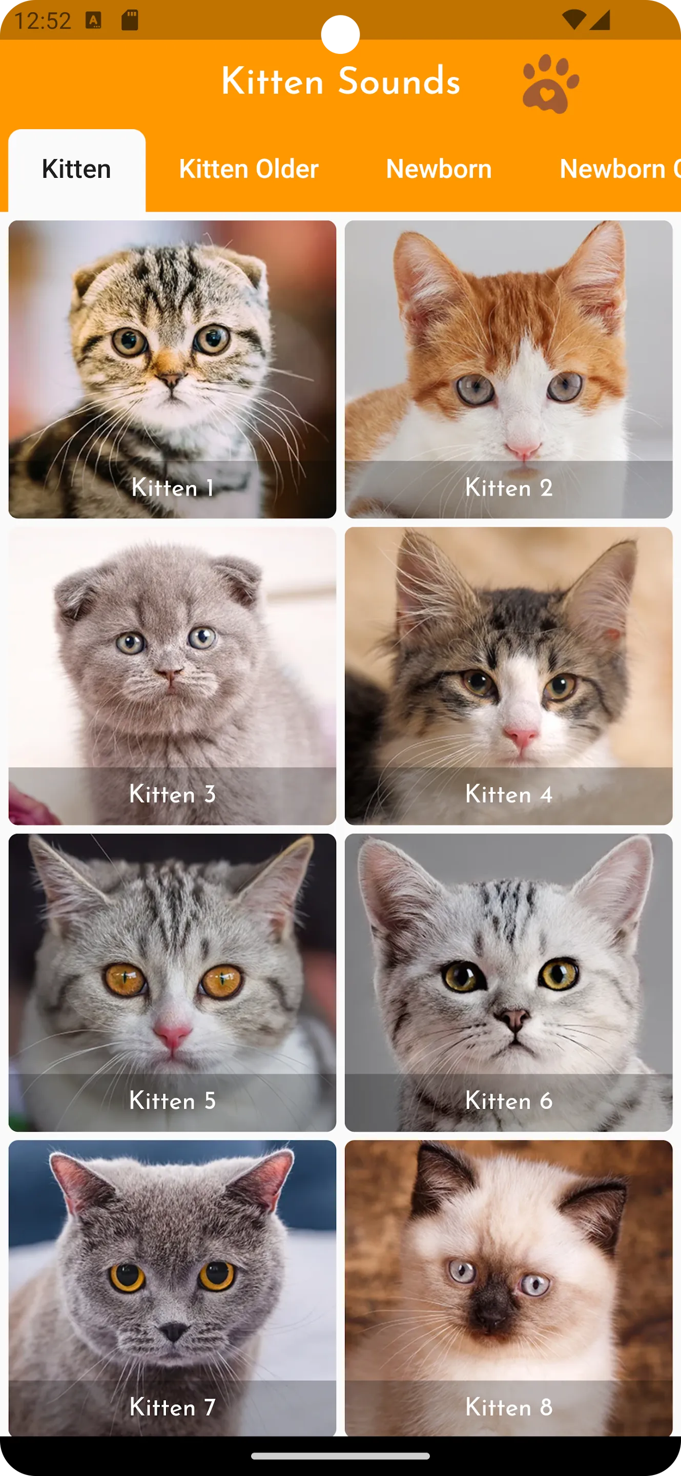 Kitten Sounds | Indus Appstore | Screenshot