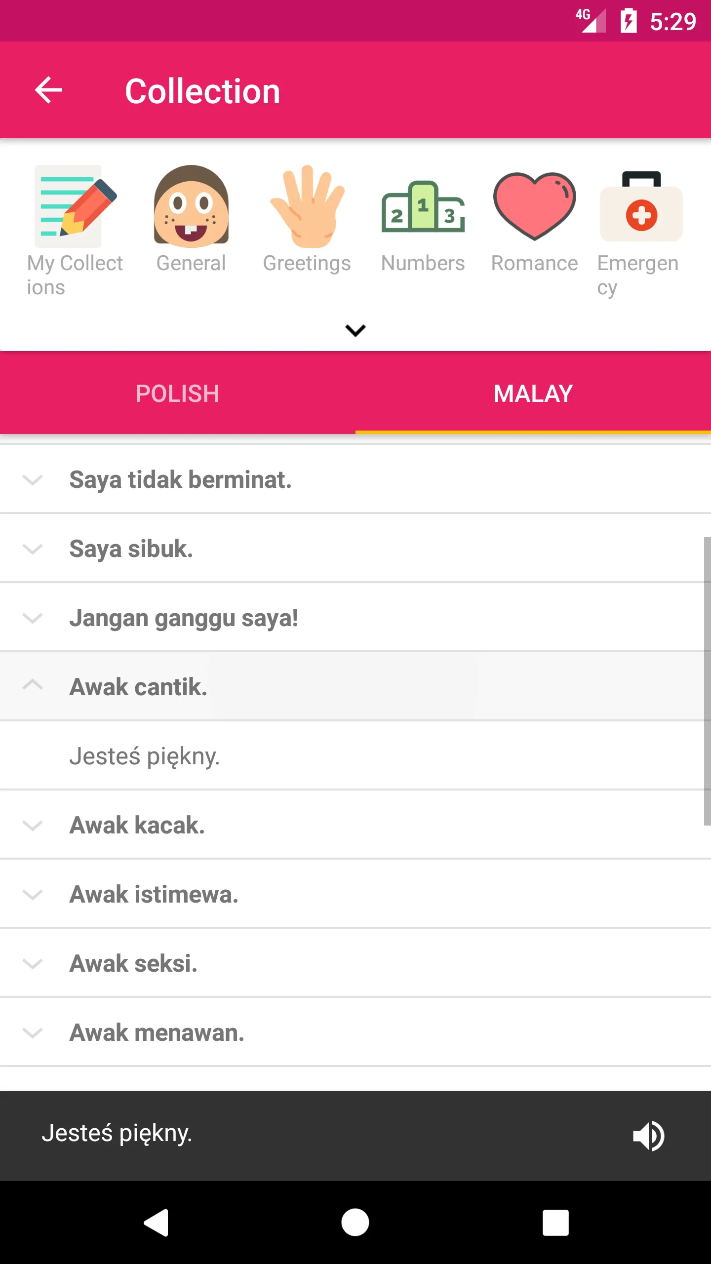 Polish Malay Dictionary | Indus Appstore | Screenshot