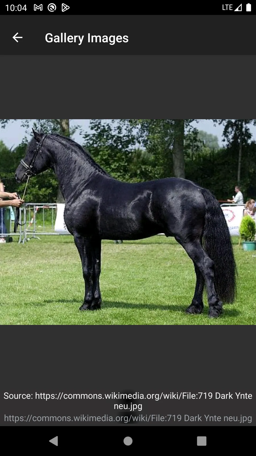 Horse breeds - Photos | Indus Appstore | Screenshot