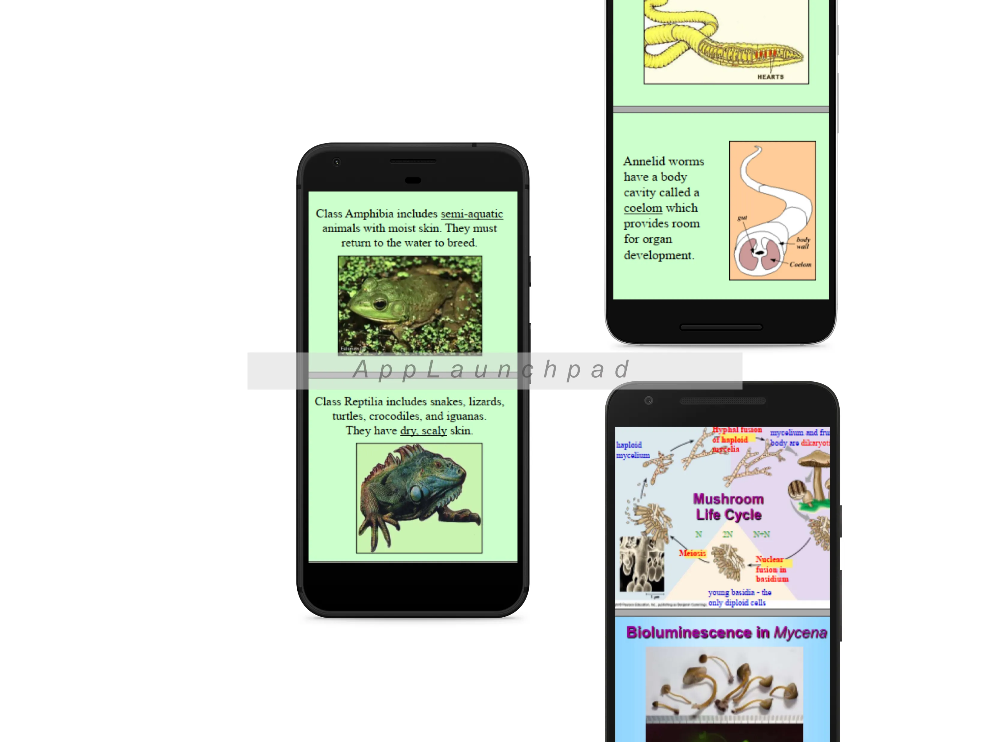 Biology Form 3 Notes +Diagrams | Indus Appstore | Screenshot