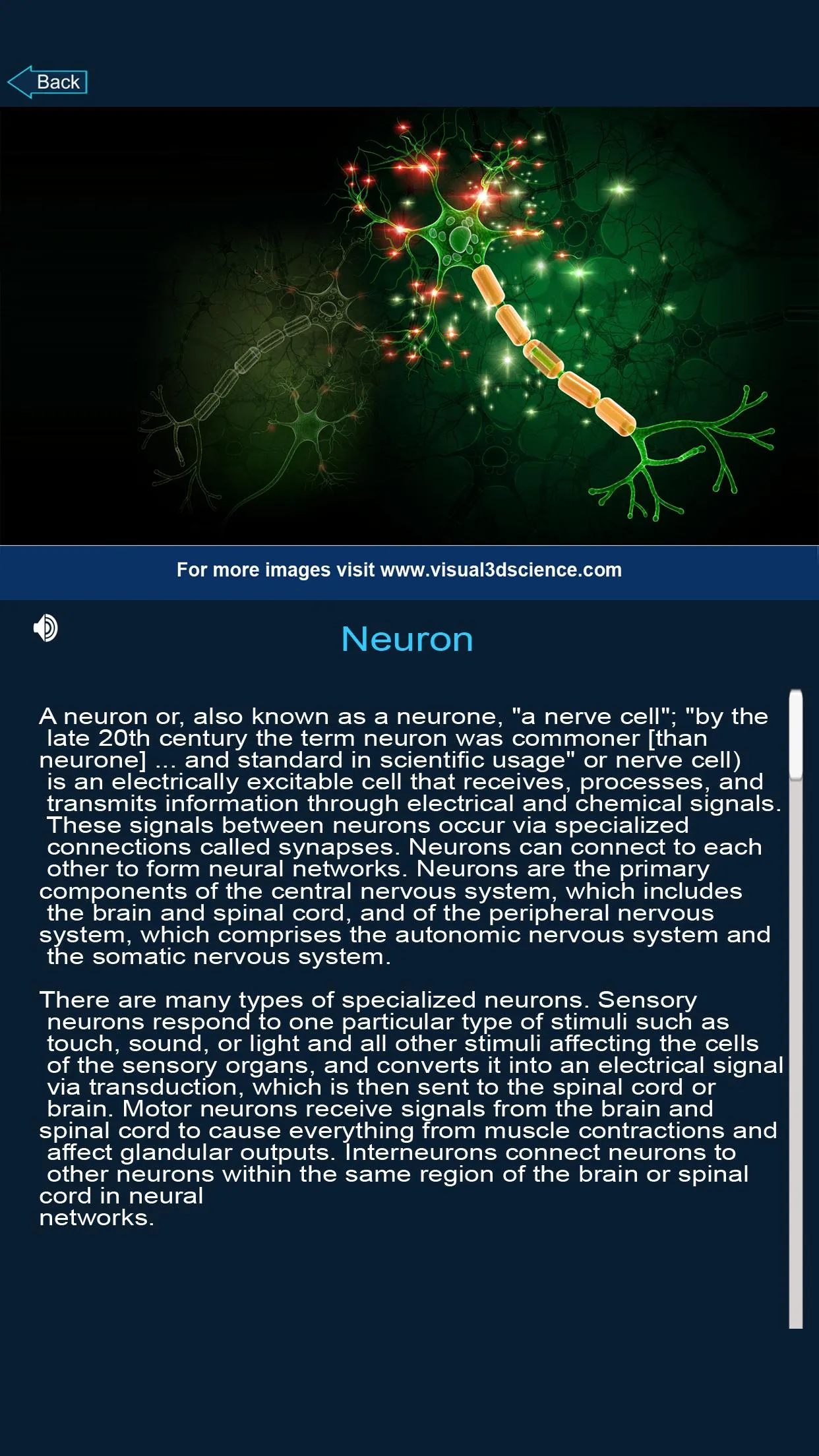 Nervous System Anatomy Pro. | Indus Appstore | Screenshot