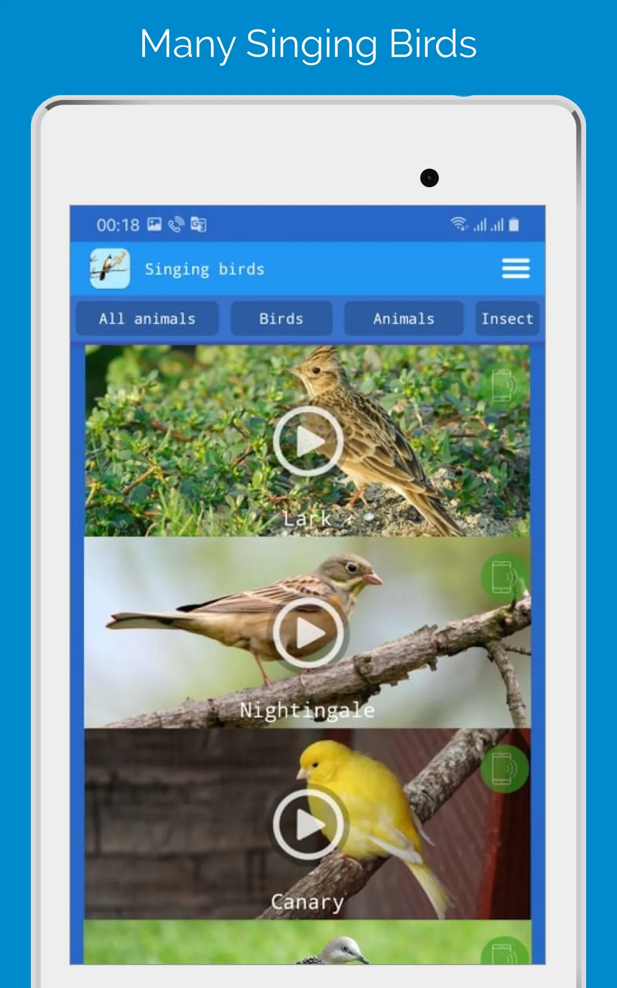 Singing Birds | Indus Appstore | Screenshot