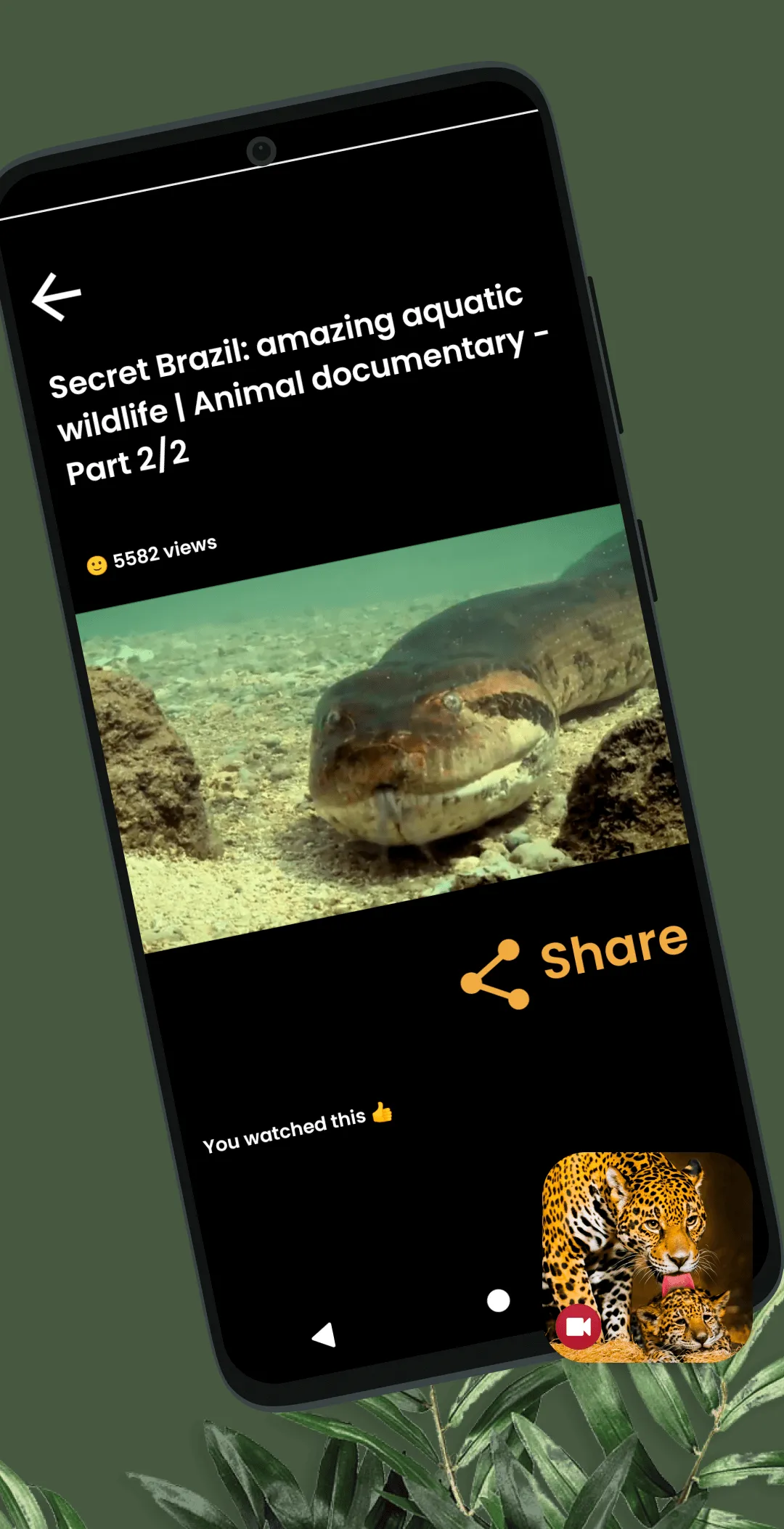 Wild Animals Documentary | Indus Appstore | Screenshot