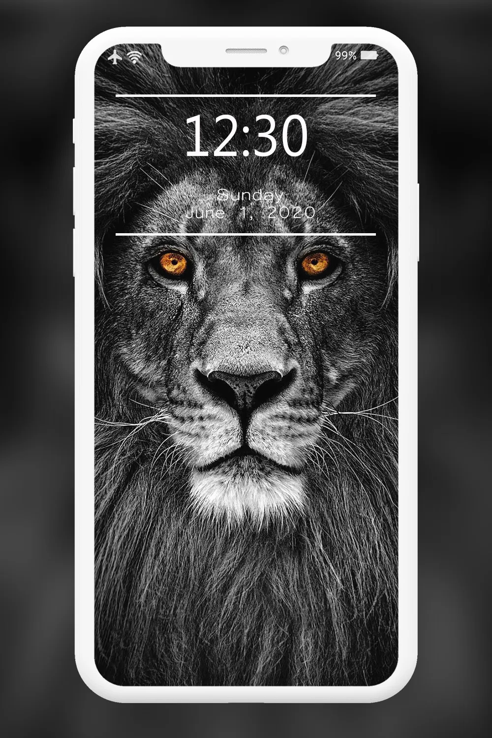 Lion Wallpapers HD | Indus Appstore | Screenshot