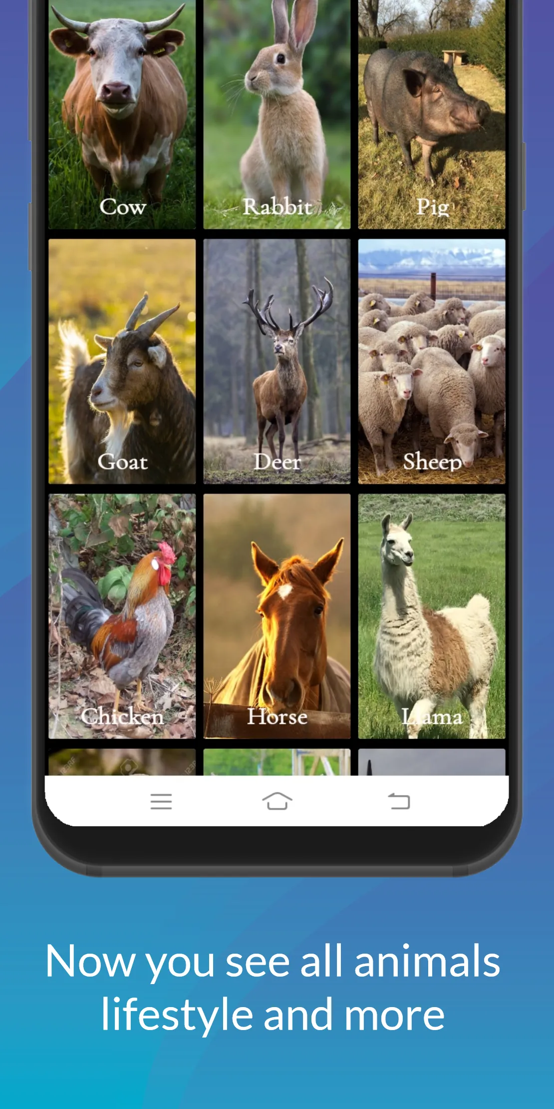 Animals  Information | Indus Appstore | Screenshot