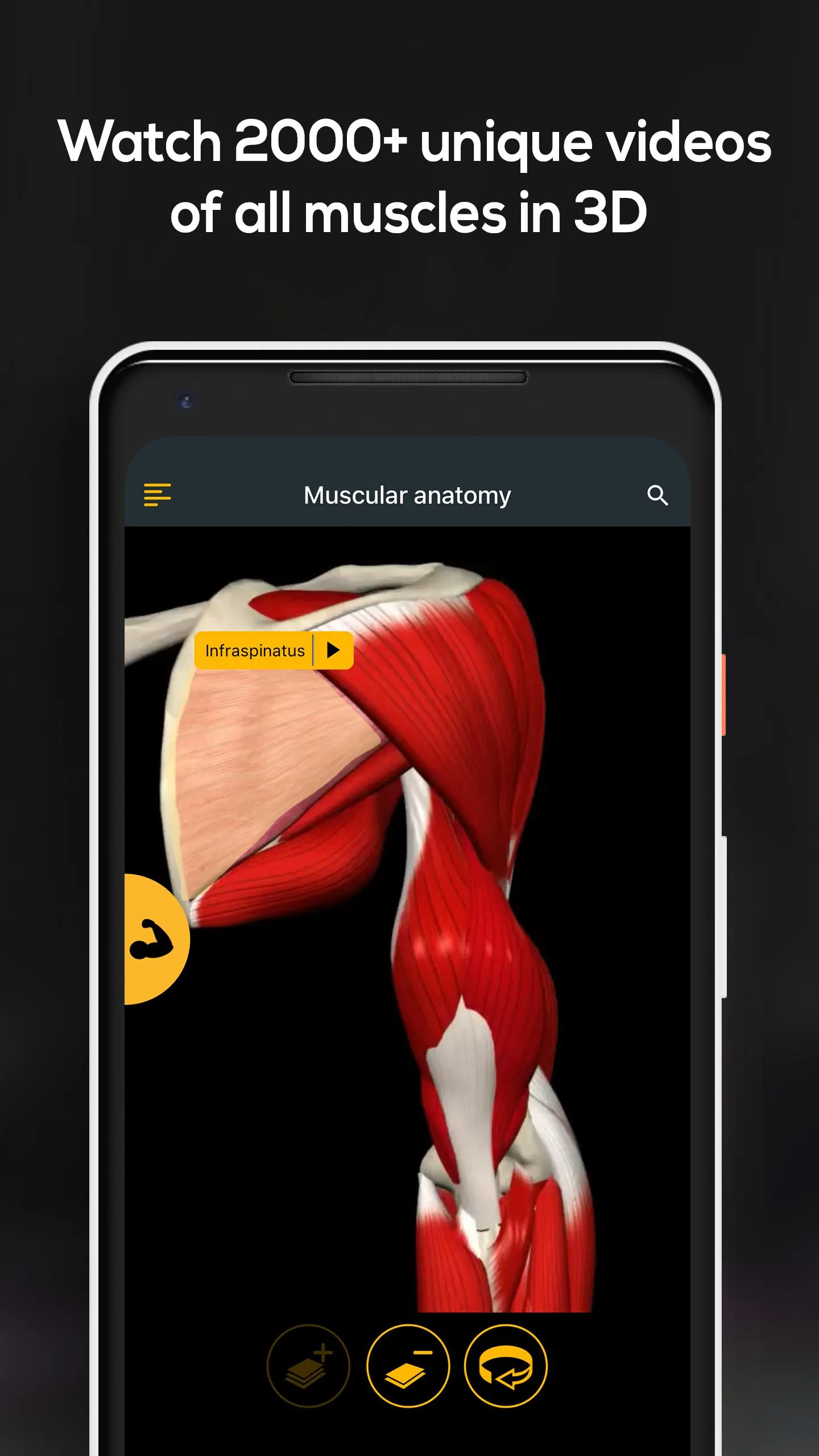 Anatomy by Muscle & Motion | Indus Appstore | Screenshot