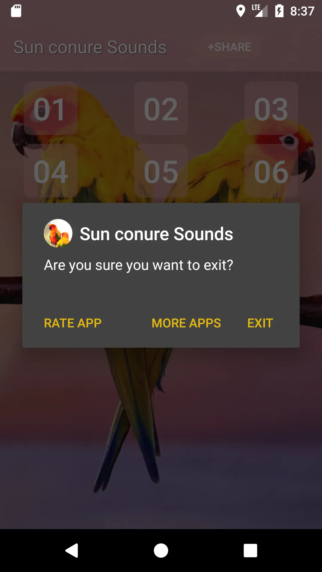 Sun conure bird sounds | Indus Appstore | Screenshot