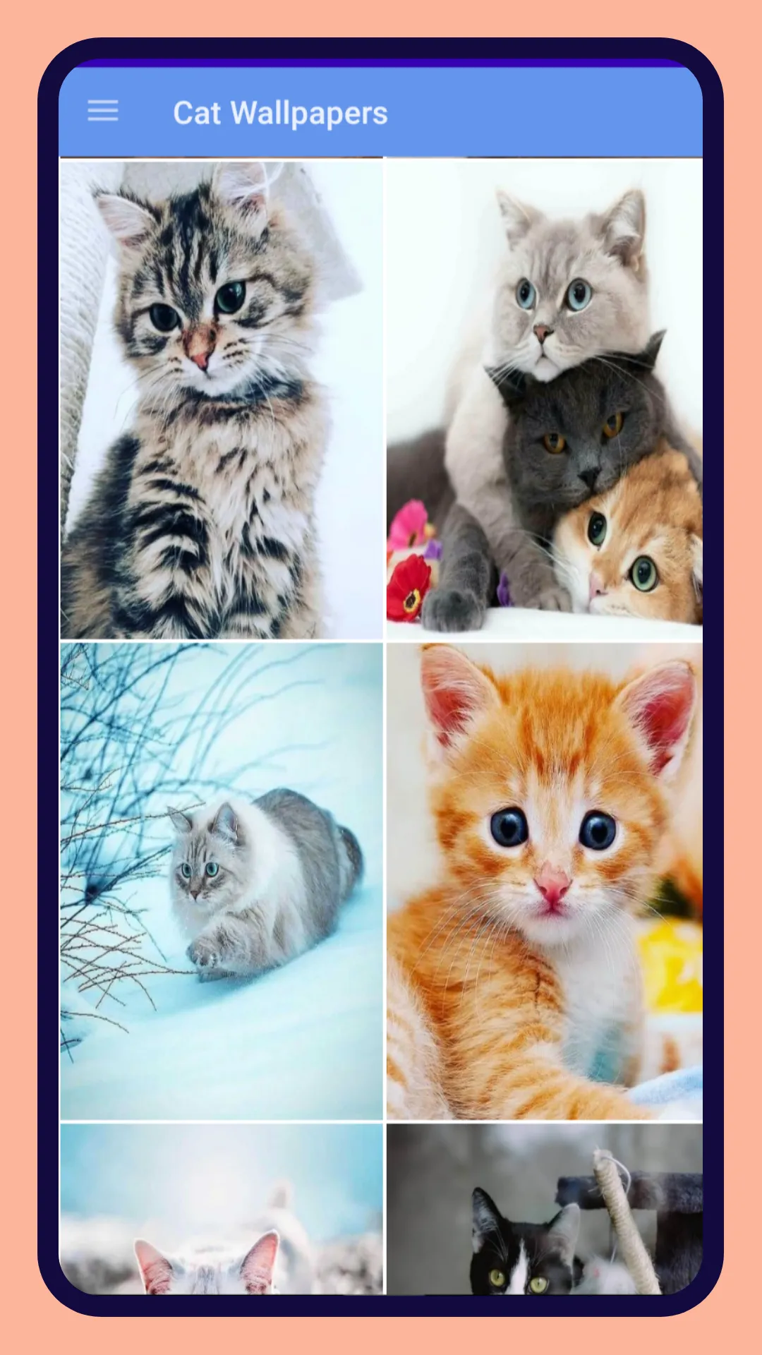 Cute Cat Wallpapers HD | Indus Appstore | Screenshot