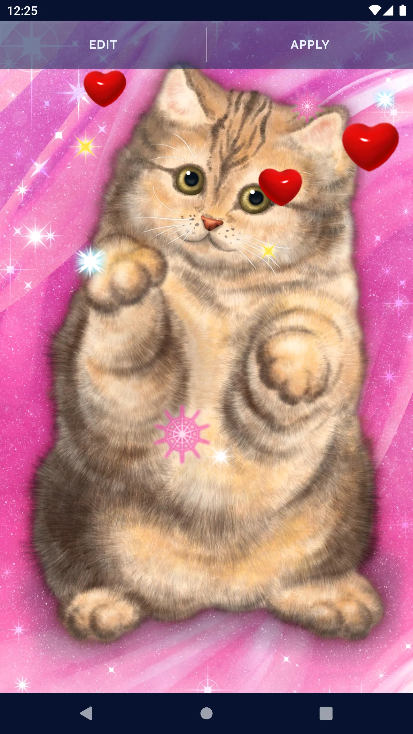 Cute Fluffy Cat Live Wallpaper | Indus Appstore | Screenshot