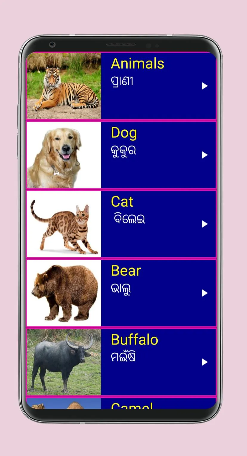 Learn English from Odia | Indus Appstore | Screenshot