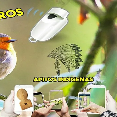 Apito para Passaros | Indus Appstore | Screenshot