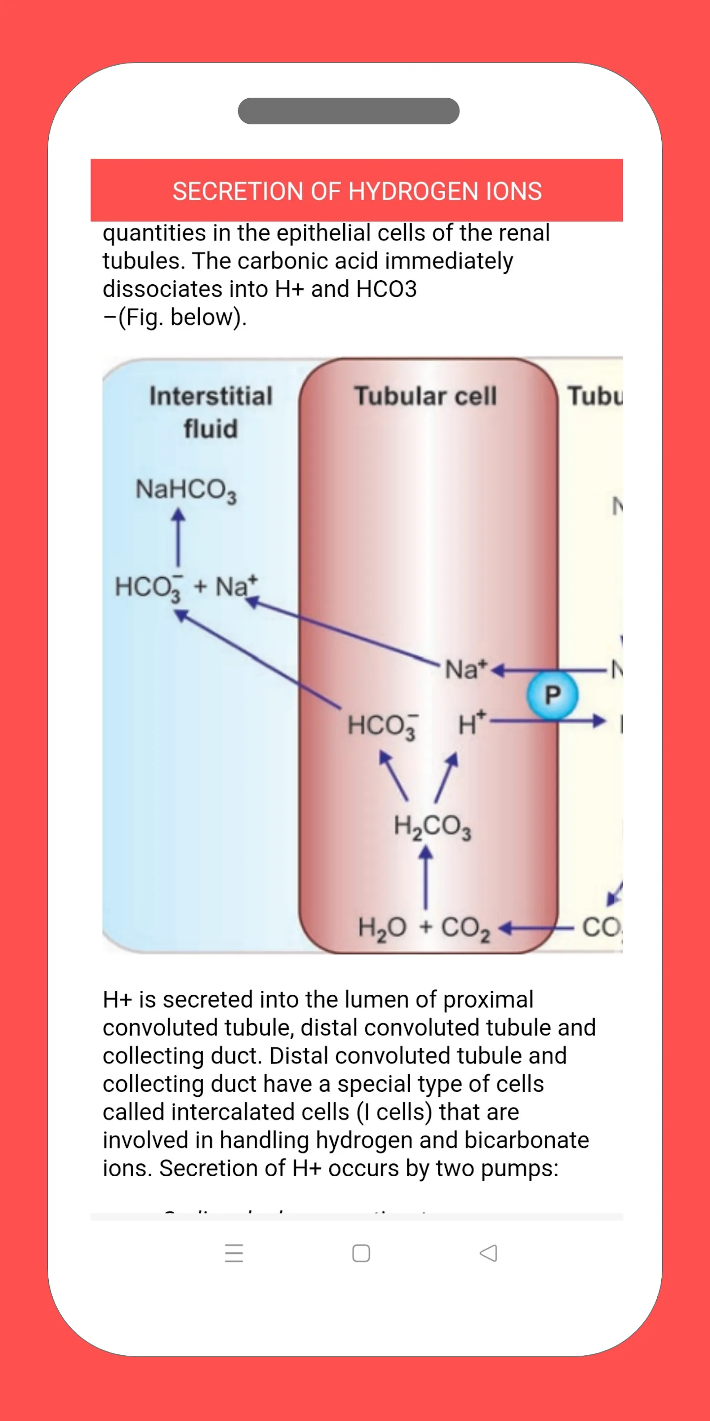 Renal  and Skin Physiology | Indus Appstore | Screenshot