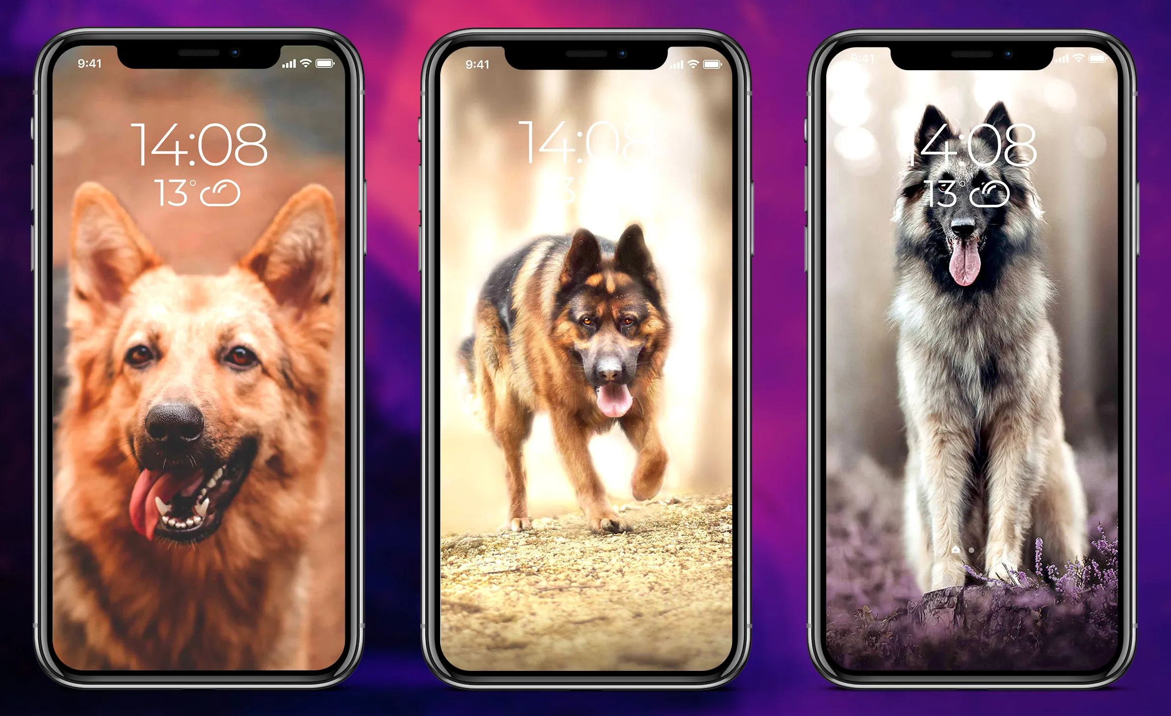 German Shepherd Wallpapers | Indus Appstore | Screenshot