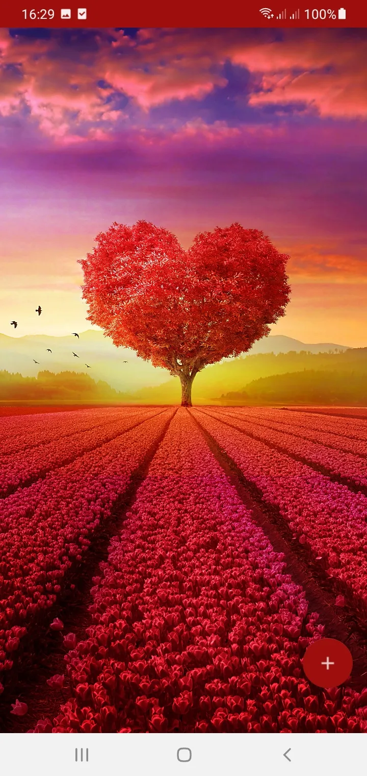 10000 Love Wallpapers | Indus Appstore | Screenshot