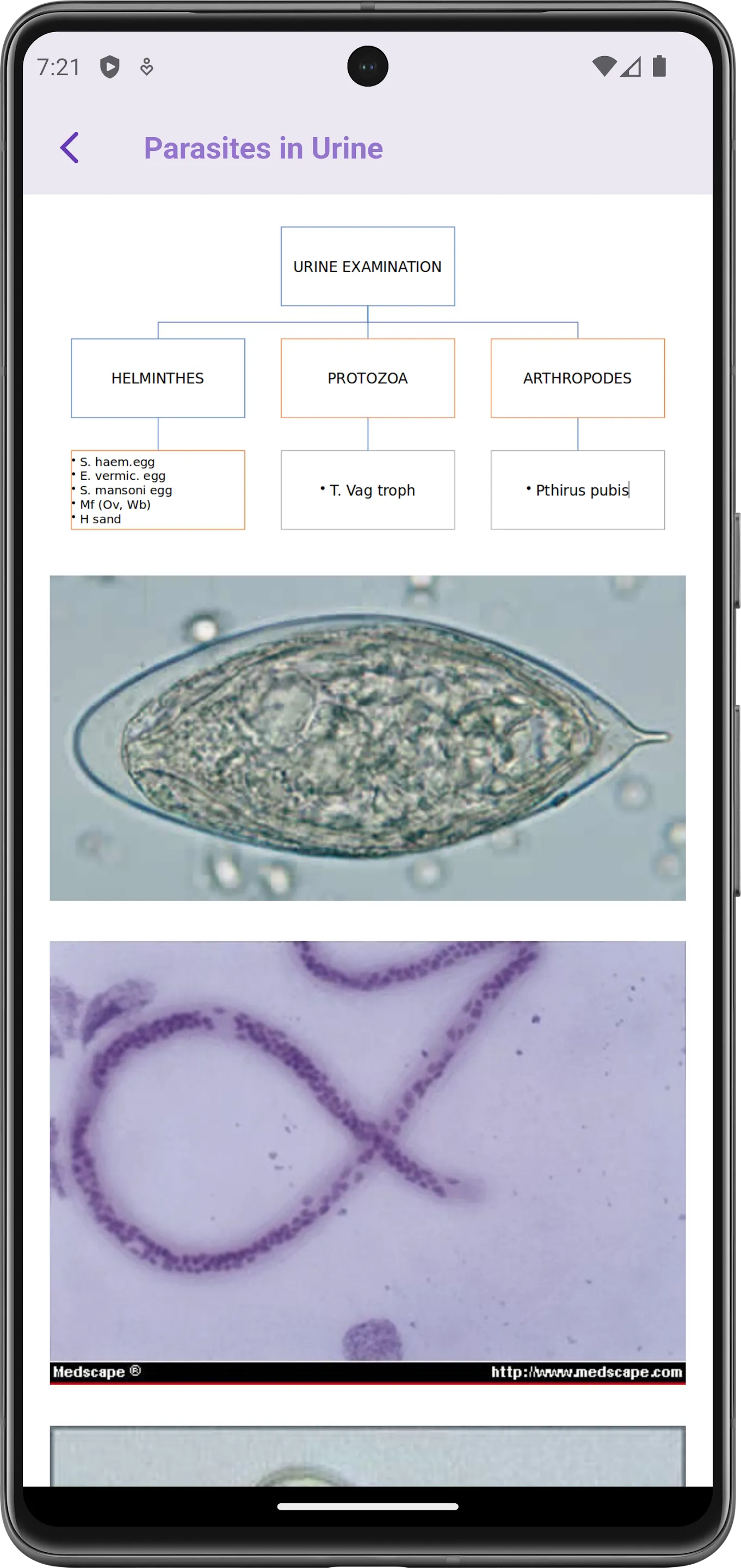 Medical Parasitology Lab. | Indus Appstore | Screenshot