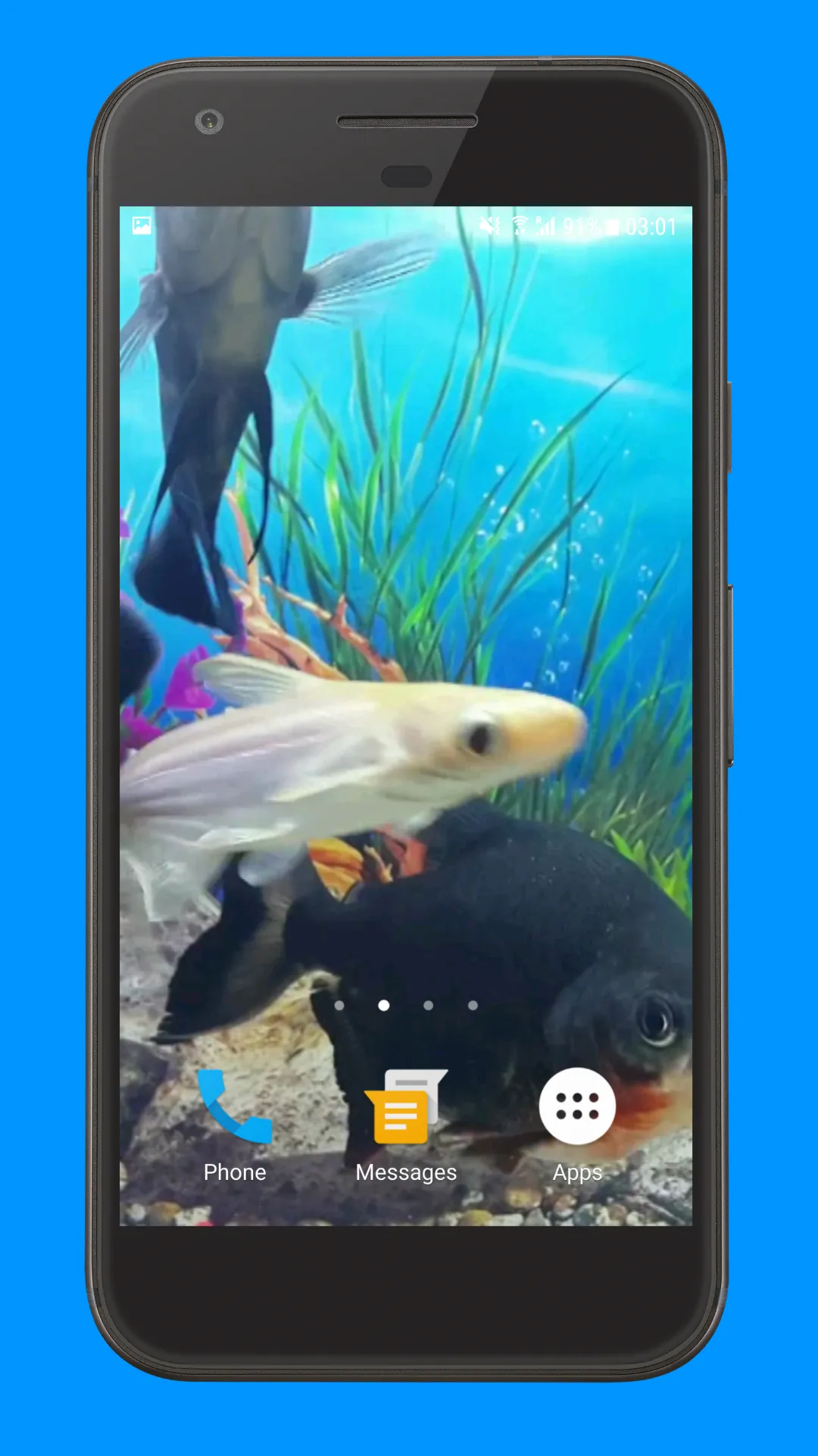 Oscar Fish Aquarium Video 3D | Indus Appstore | Screenshot