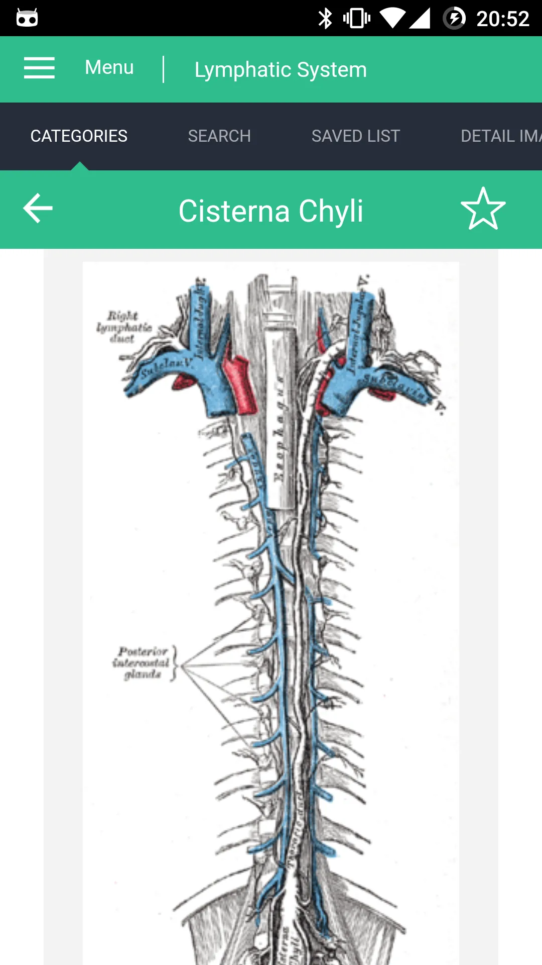 Lymphatic System Reference | Indus Appstore | Screenshot