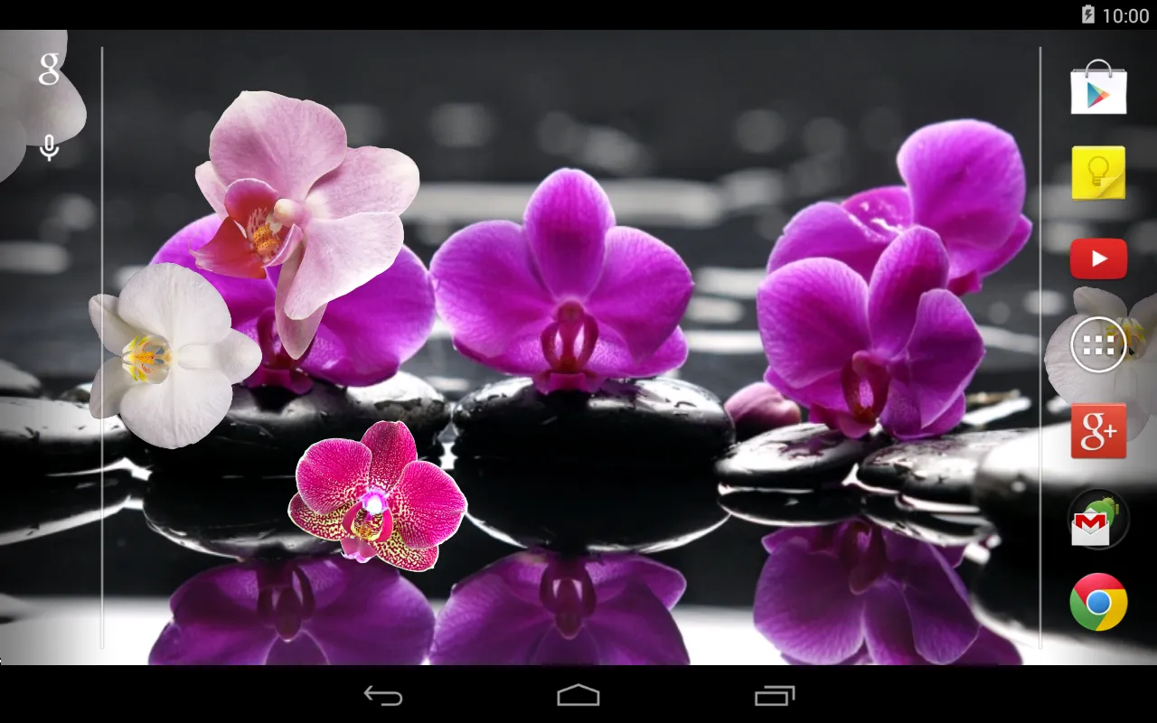 Orchid Live Wallpaper | Indus Appstore | Screenshot