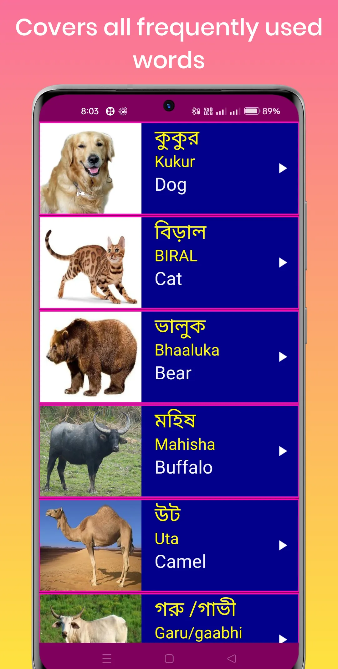 Learn Bengali From English | Indus Appstore | Screenshot