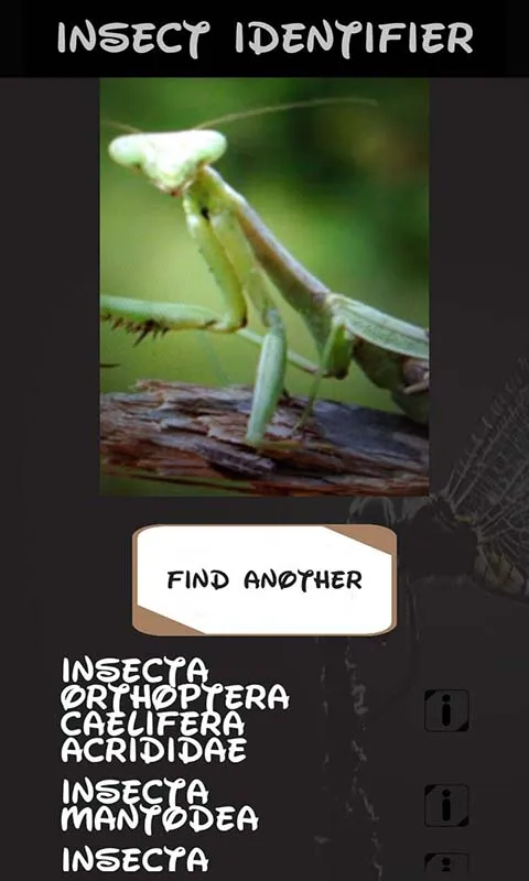 Automatic insect identifier | Indus Appstore | Screenshot