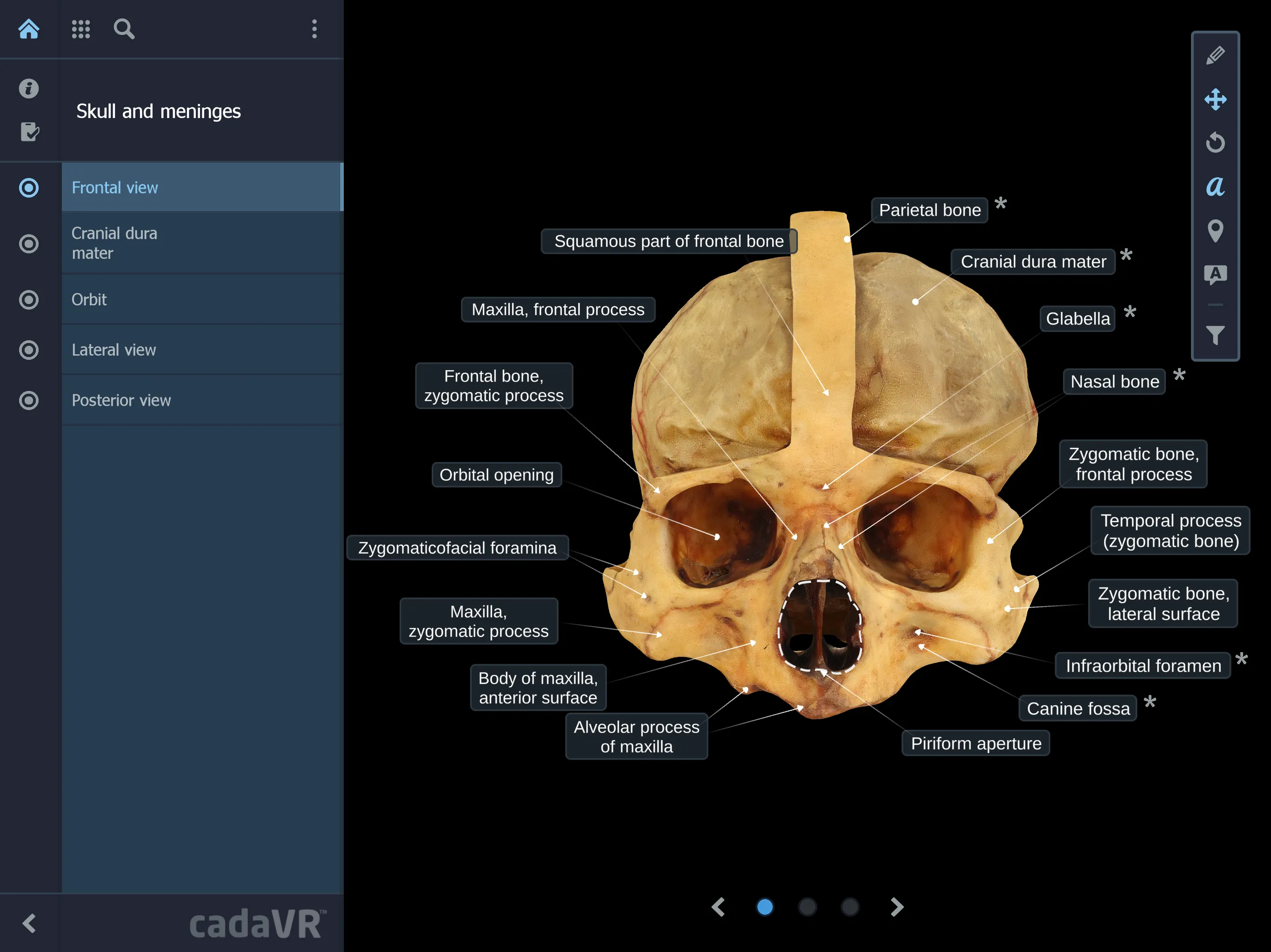 cadaVR anatomy | Indus Appstore | Screenshot