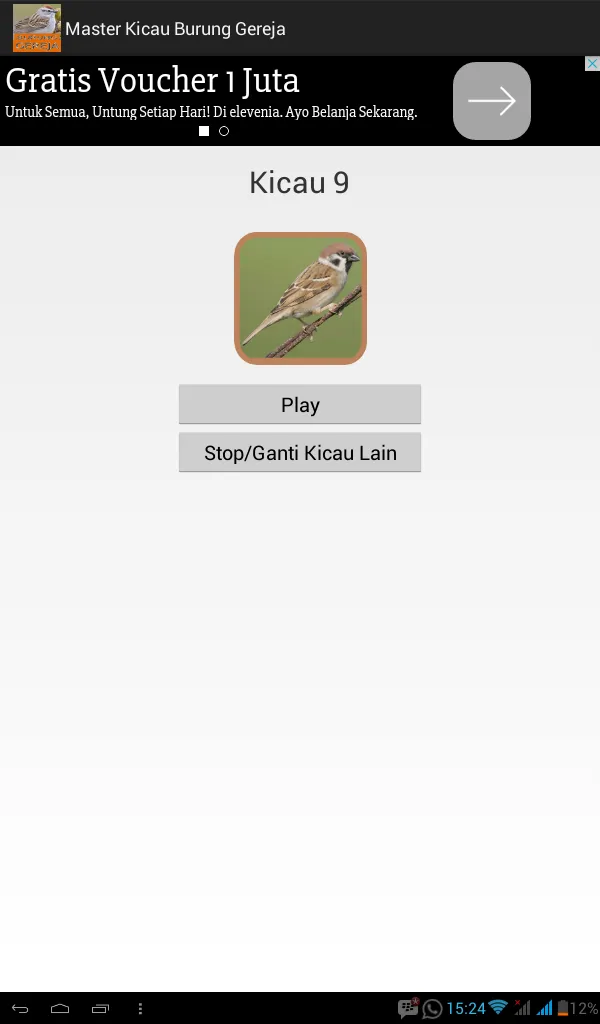 Master Kicau Burung Gereja | Indus Appstore | Screenshot