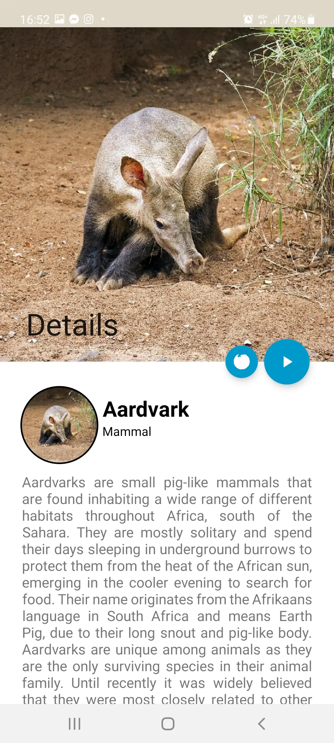 Animal Identifier | Indus Appstore | Screenshot