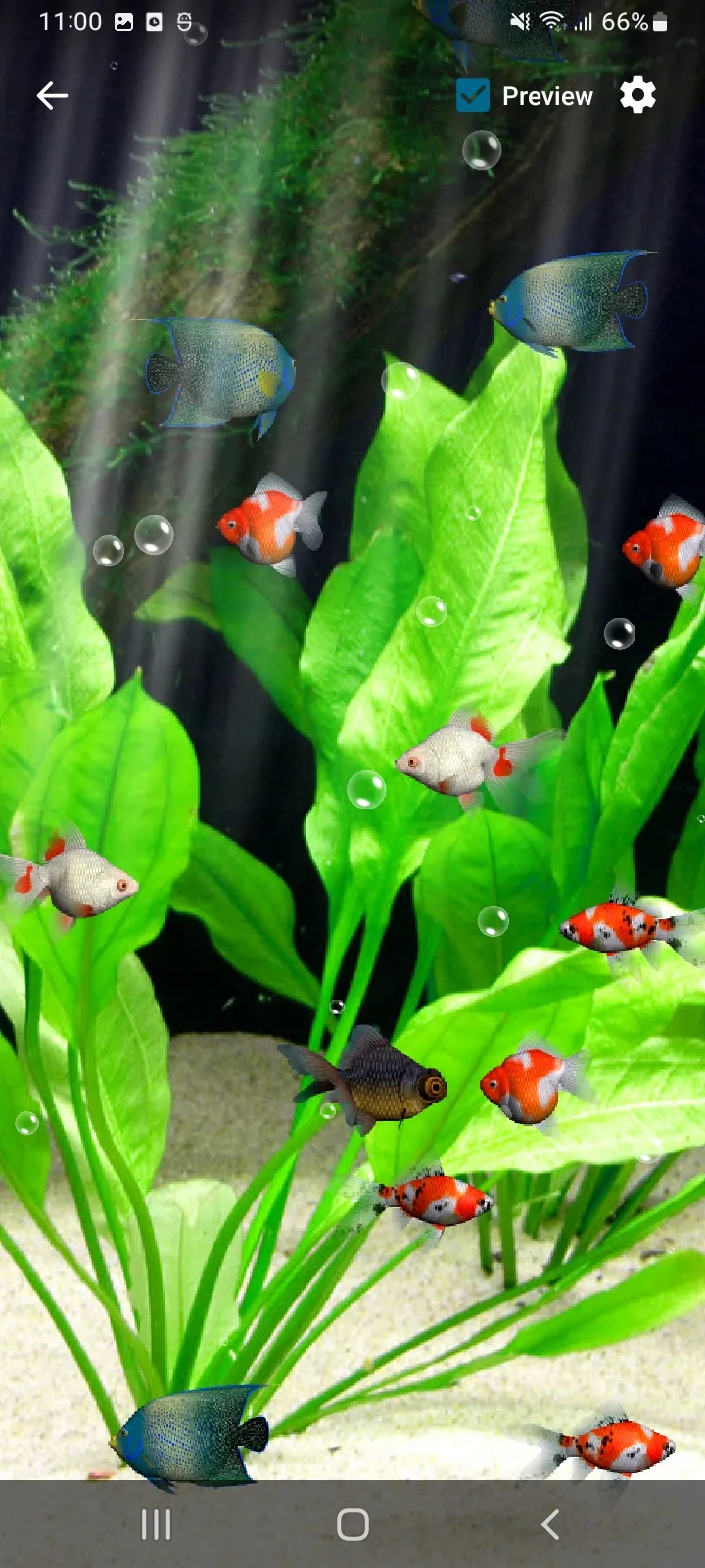 Aquarium Live Wallpaper 3D | Indus Appstore | Screenshot